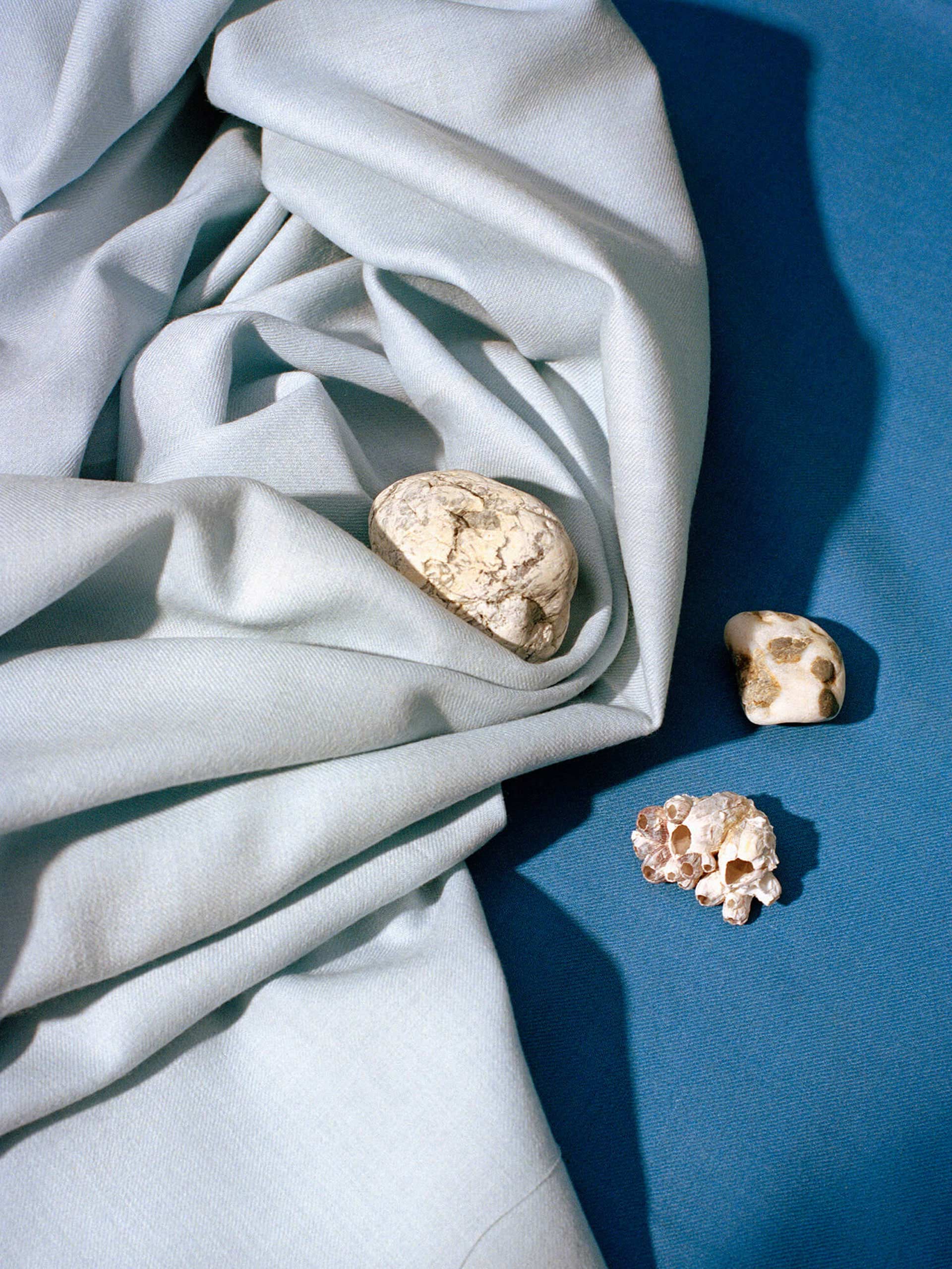 Doingbird Rockhound August, 2018 by  Victoria Zschommler