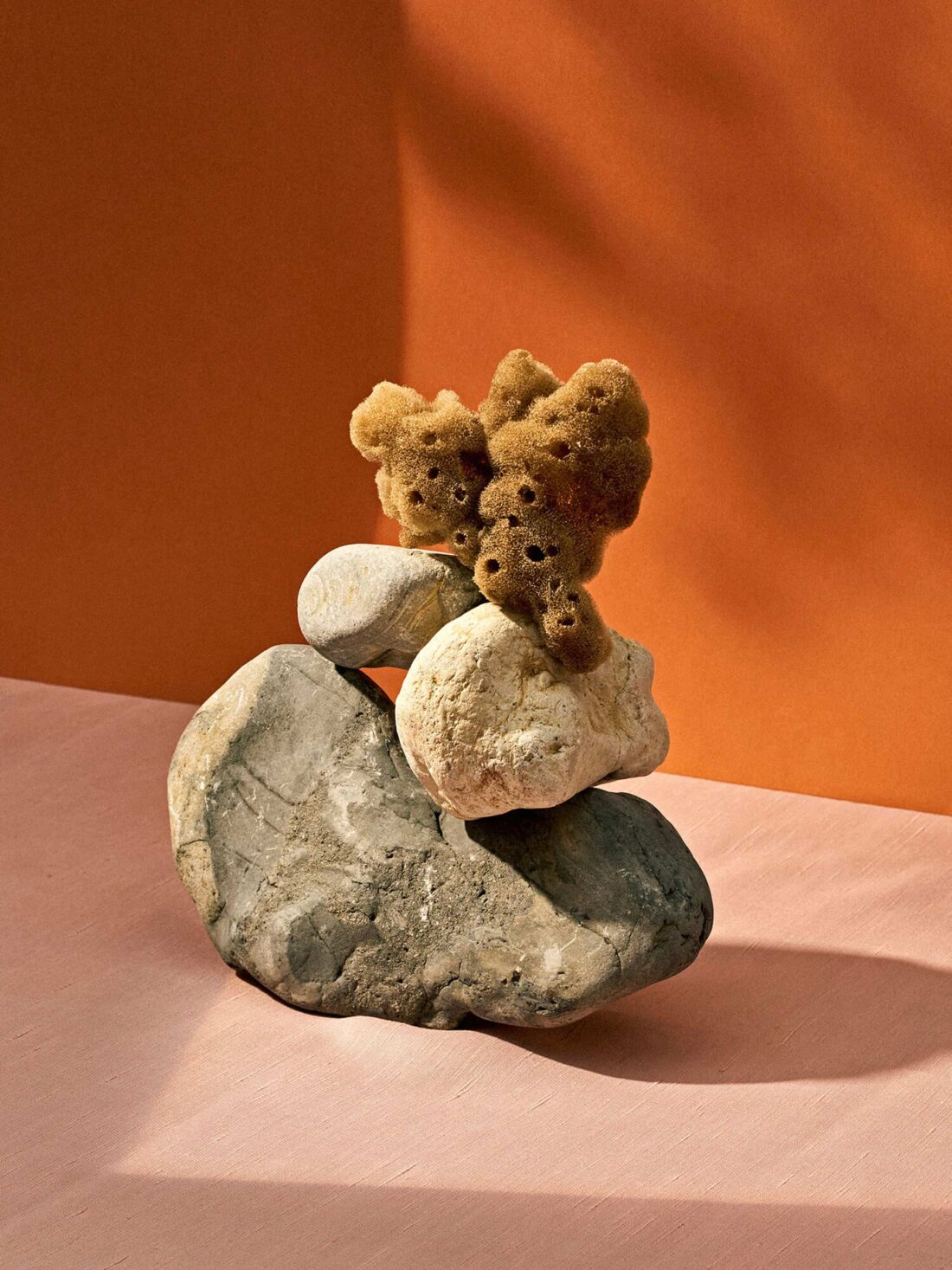 Photographer: Victoria Zschommler - Doingbird, Rockhound, August 2018