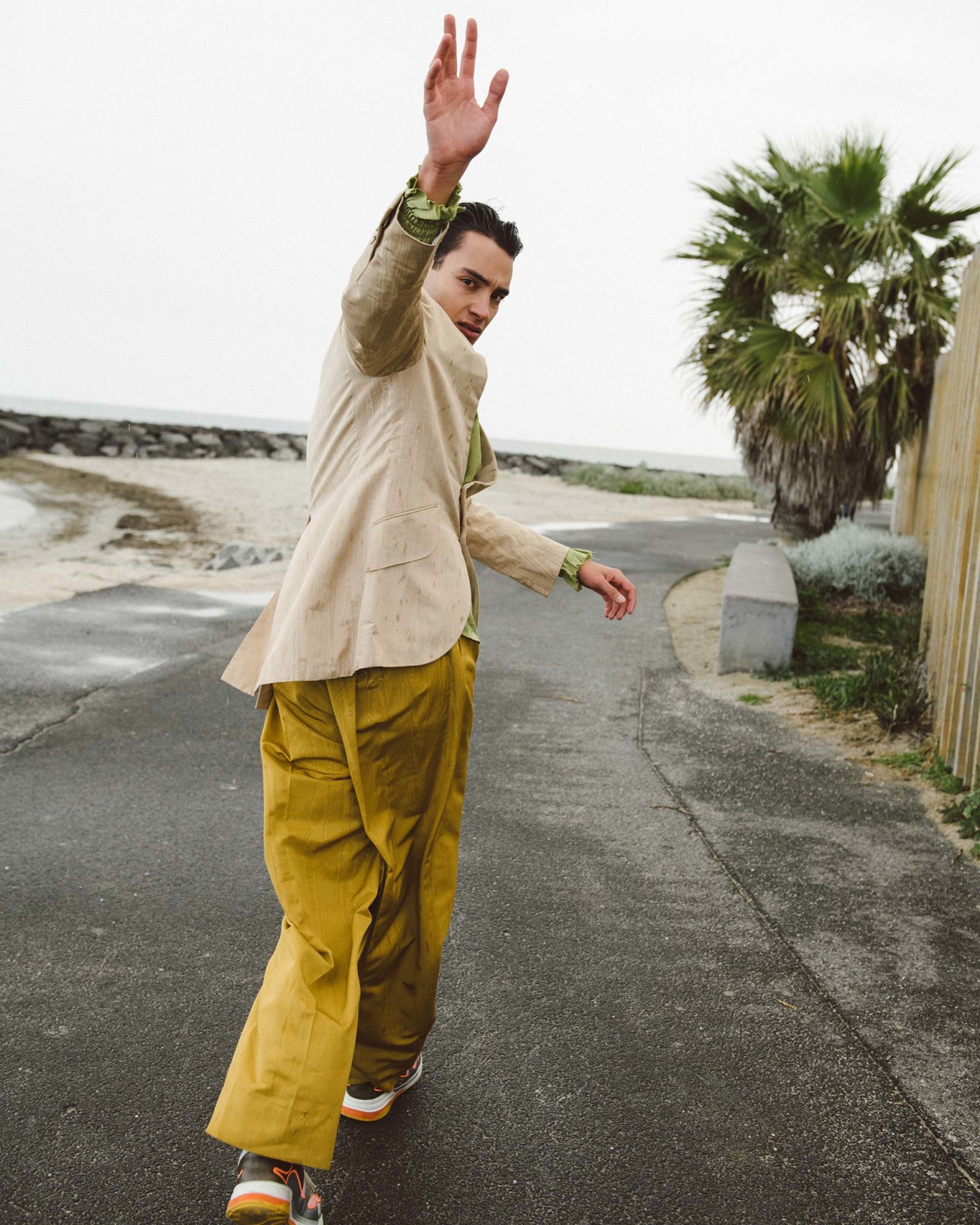 Doingbird Evan Evagora November, 2019 by  Jo Duck