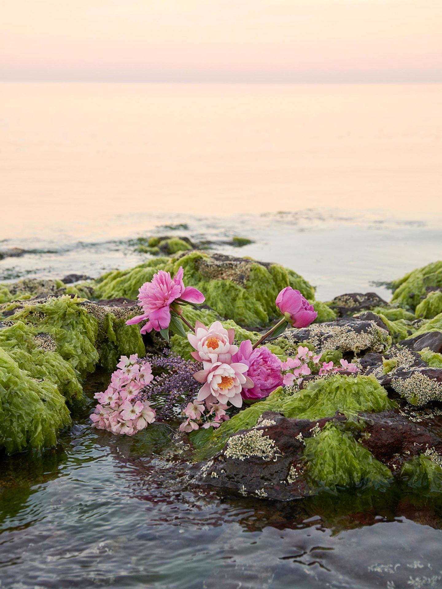 About A Day Exhibition November, 2019 by  Victoria Zschommler