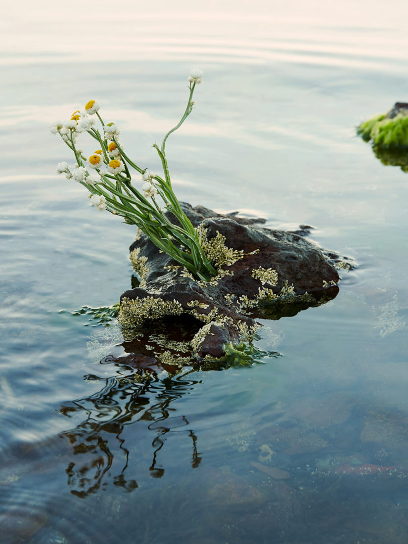 Photographer: Victoria Zschommler - About A Day, Exhibition, November 2019