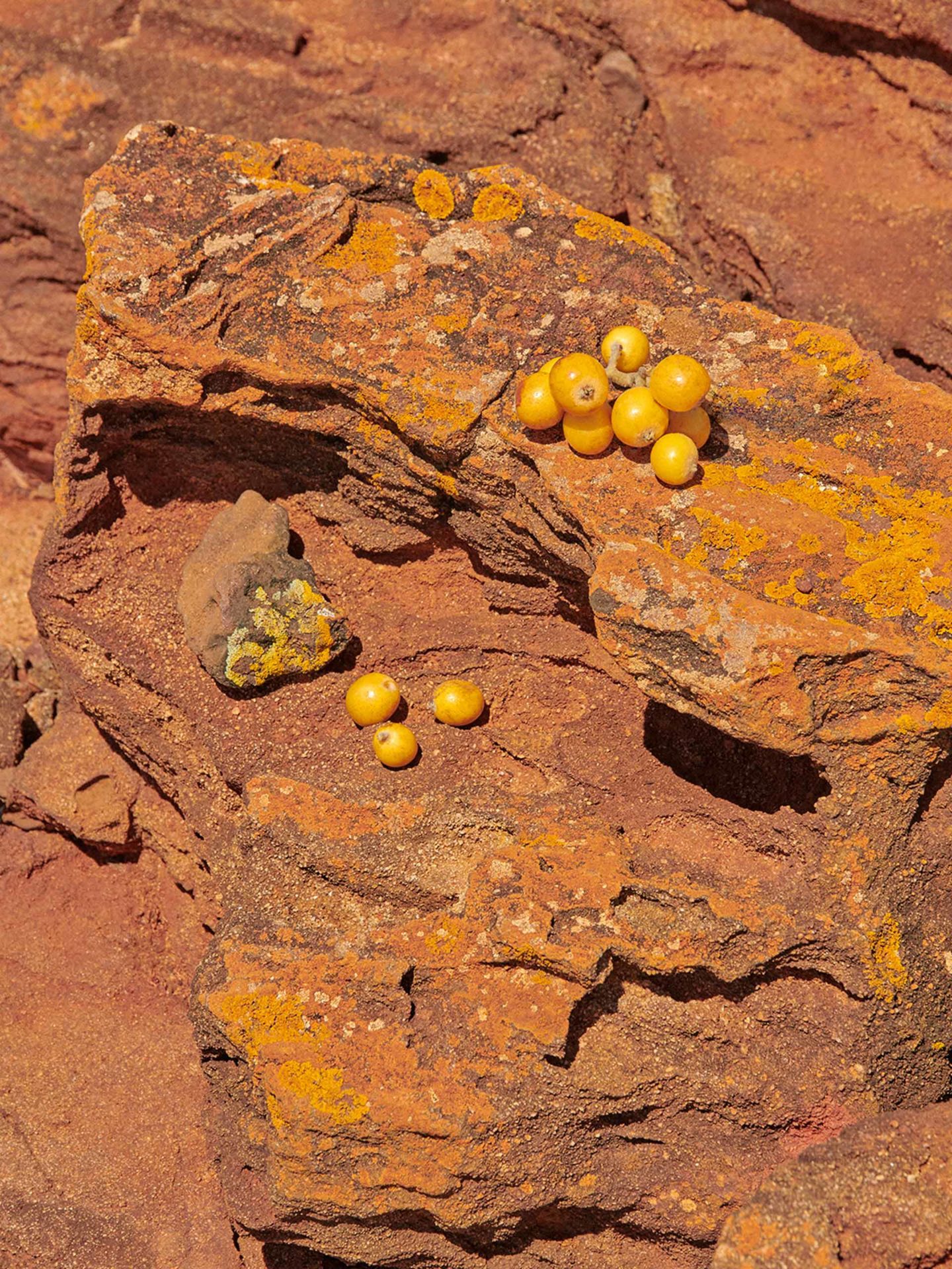 About A Day Exhibition November, 2019 by  Victoria Zschommler