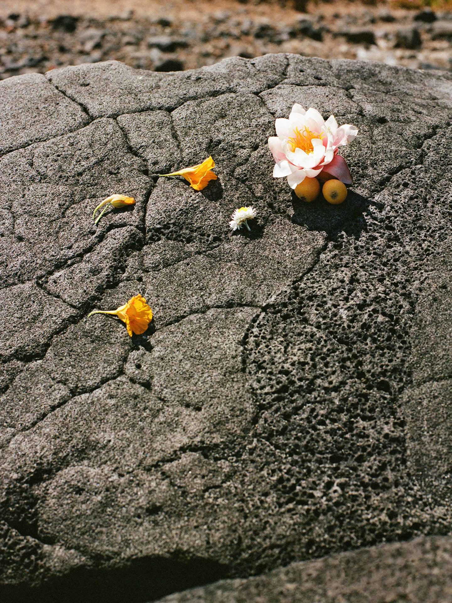 About A Day Exhibition November, 2019 by  Victoria Zschommler