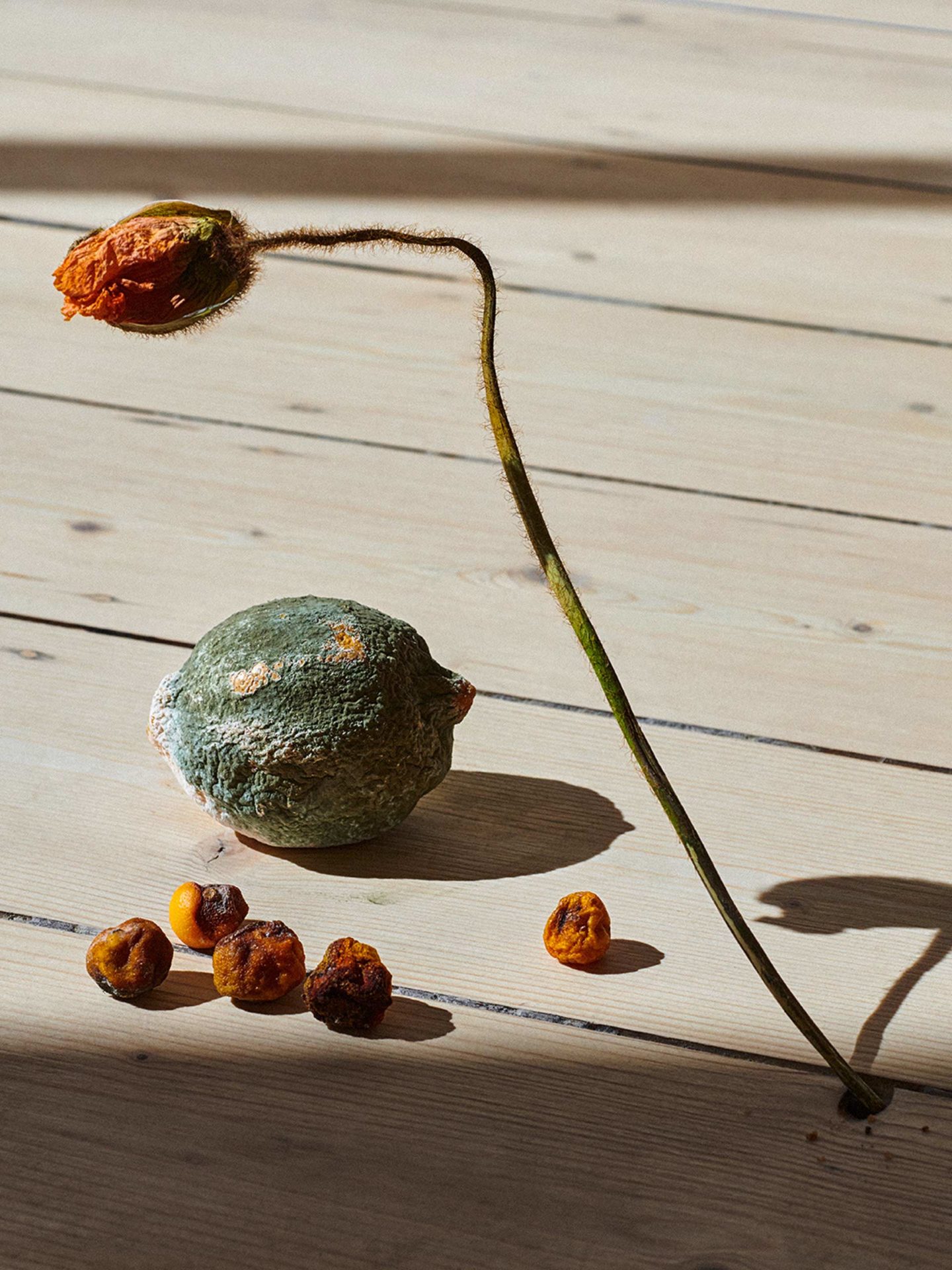 About A Day Exhibition November, 2019 by  Victoria Zschommler