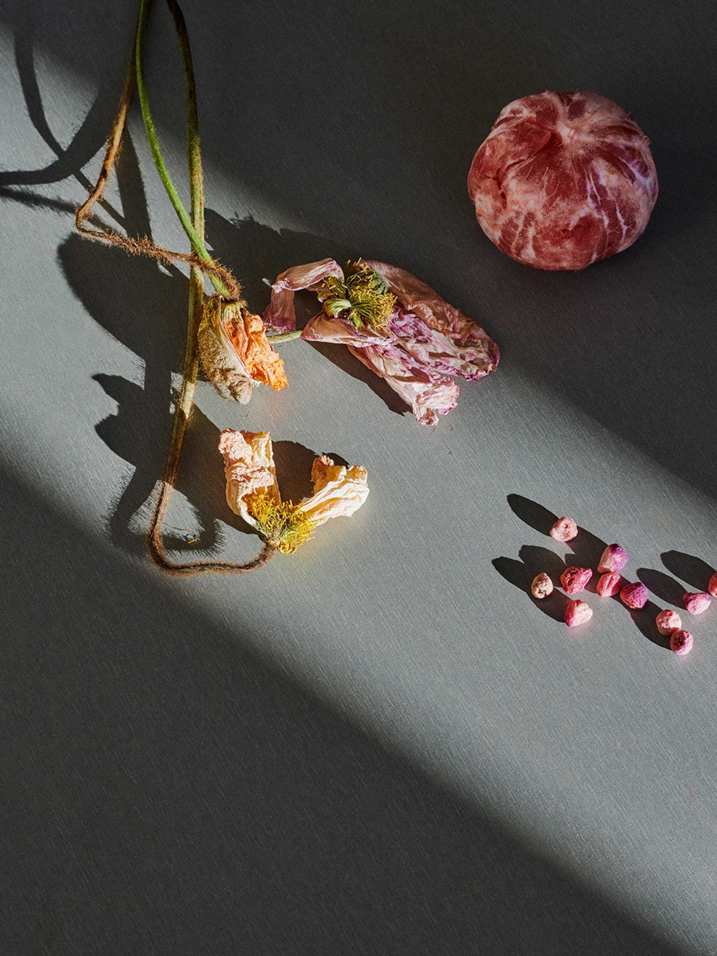 About A Day Exhibition November, 2019 by  Victoria Zschommler