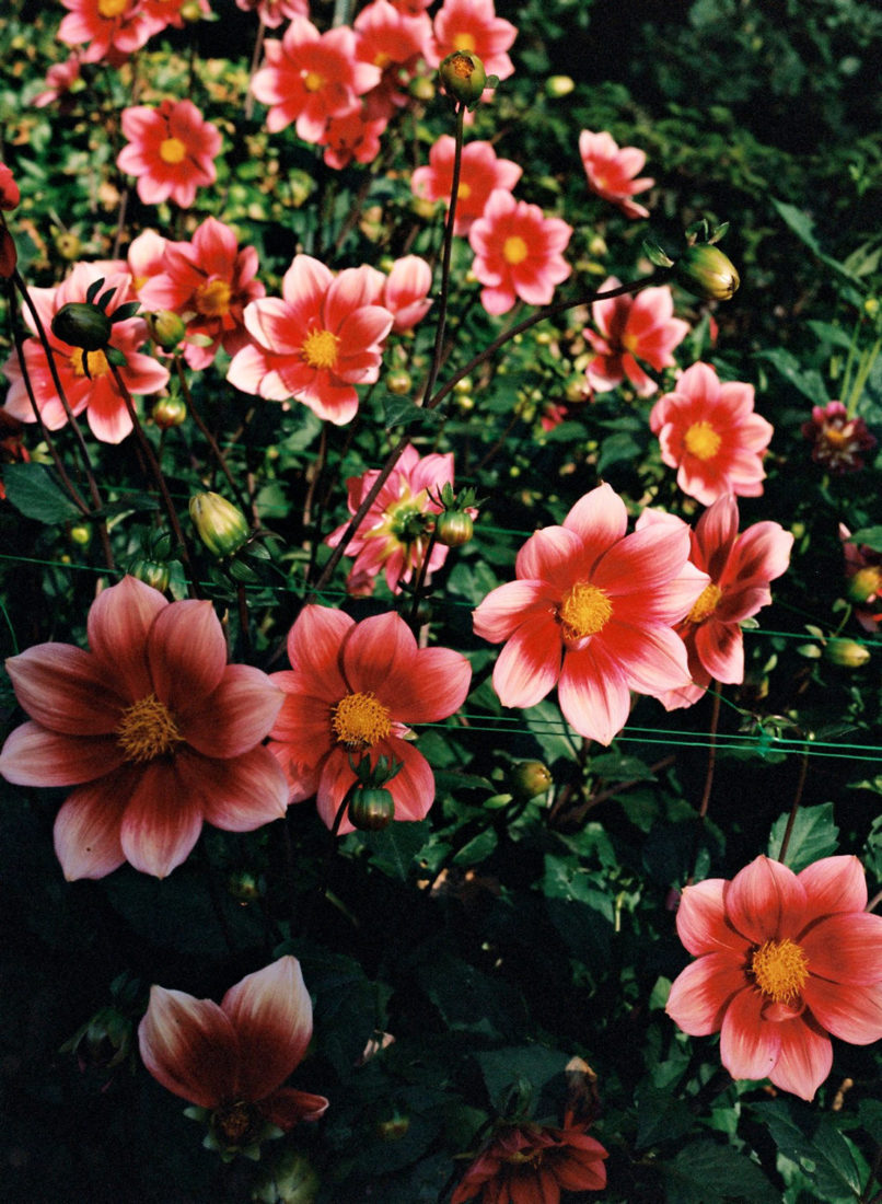 Art Box Black image licensing for HSS_Library_Nature_01.jpg