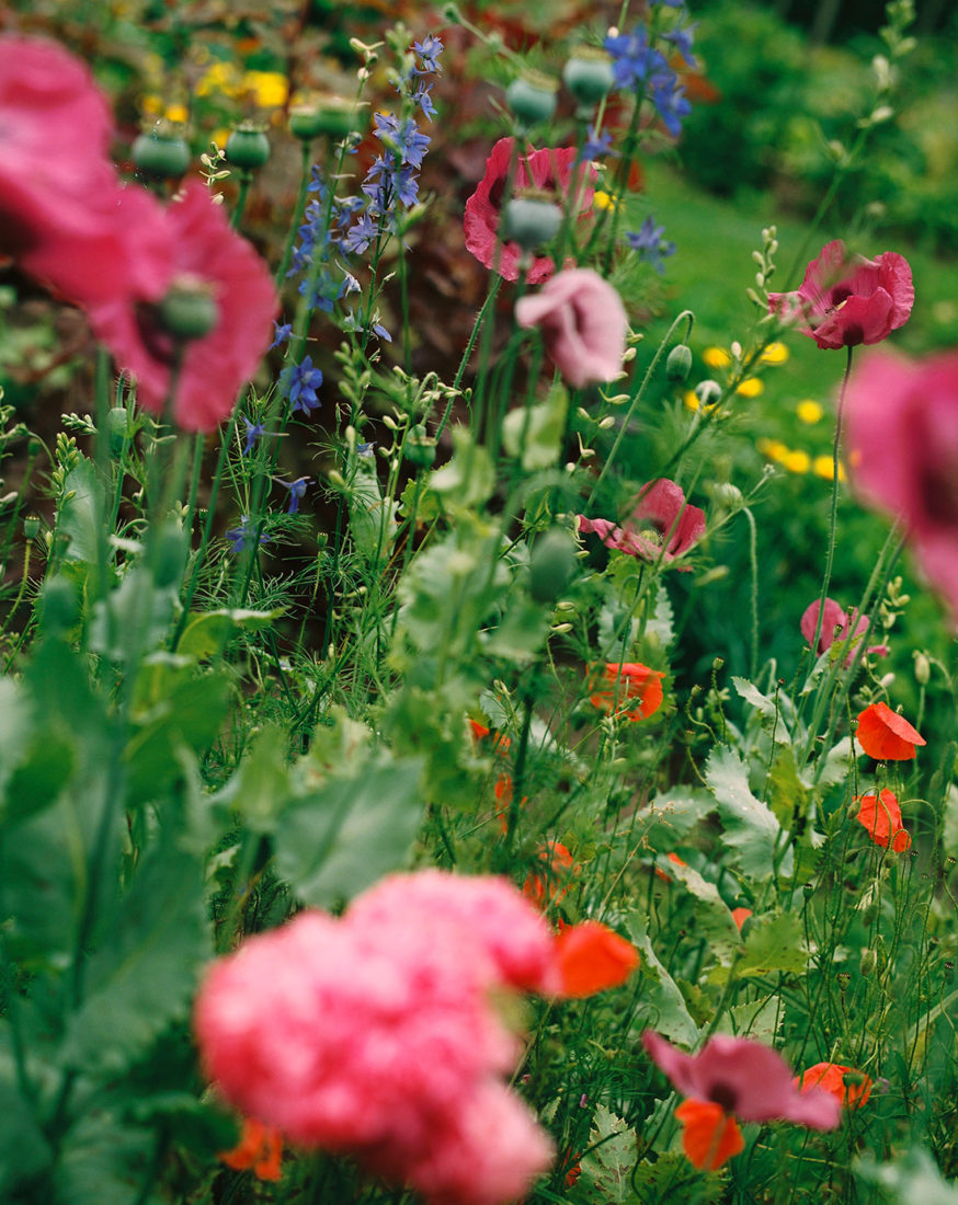 Art Box Black image licensing for HSS_Library_Nature_02.jpg