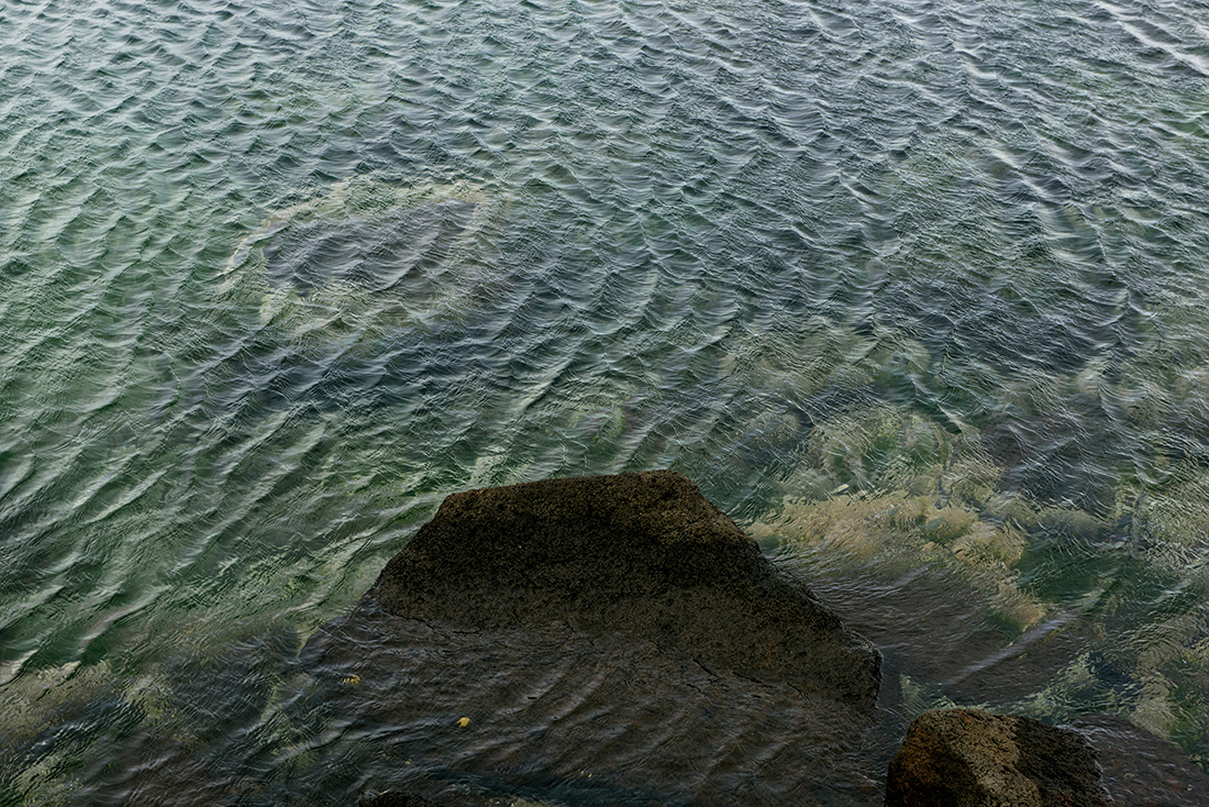 Art Box Black image licensing for JD_Library_Nature_01.jpg