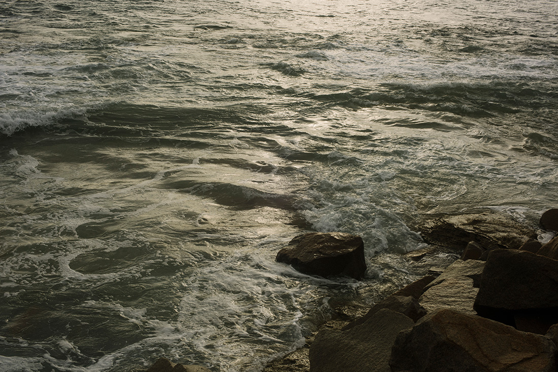 Art Box Black image licensing for JD_Library_Nature_02.jpg