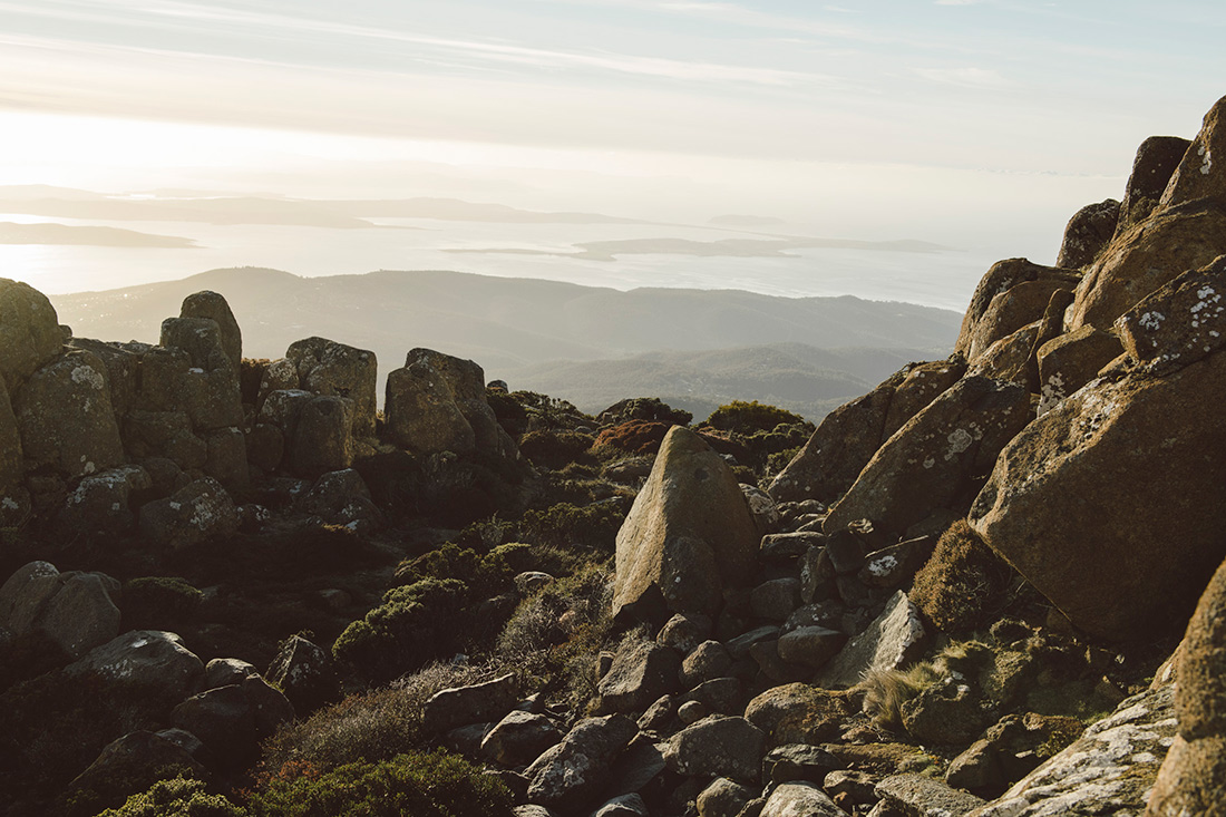 Art Box Black image licensing for JD_Library_Nature_04.jpg