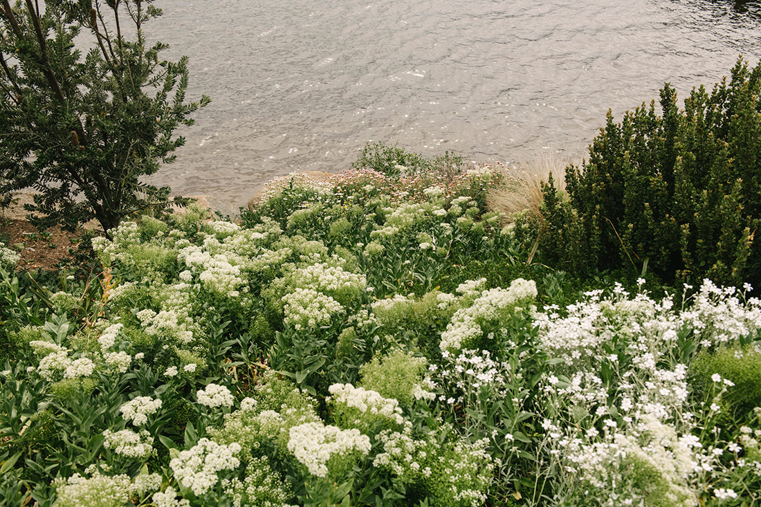 Art Box Black image licensing for JD_Library_Nature_06.jpg