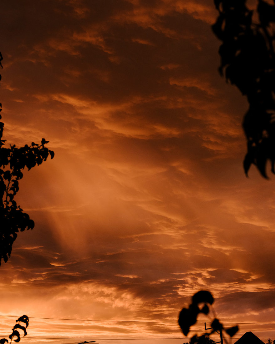 Art Box Black image licensing for JD_Library_Nature_07.jpg