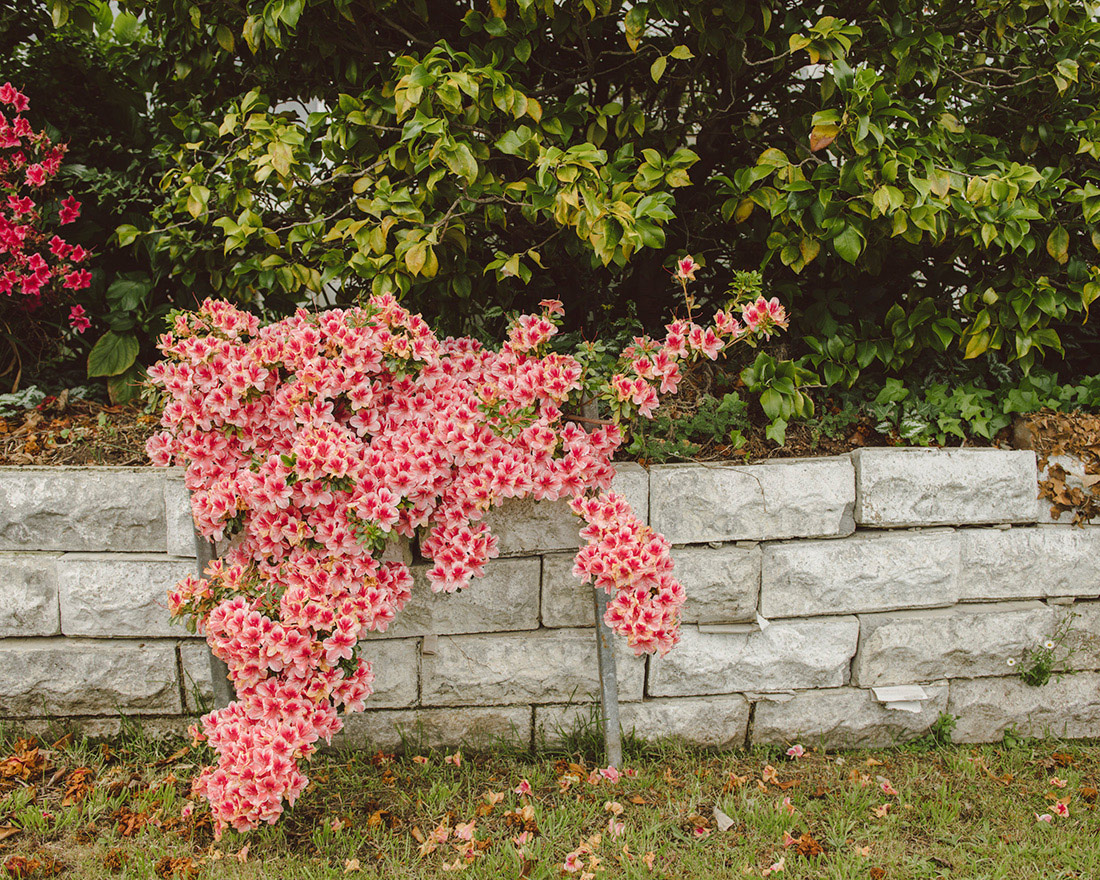 Art Box Black image licensing for JD_Library_Places_05.jpg