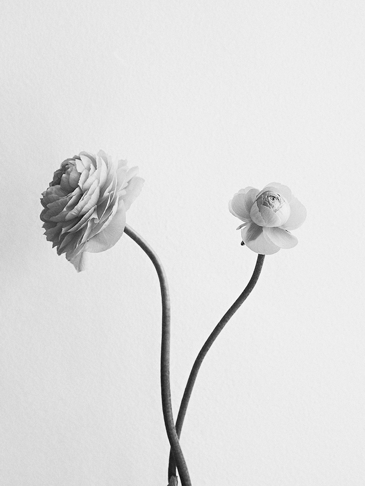 Art Box Black image licensing for VZ_Library_Things_13.jpg