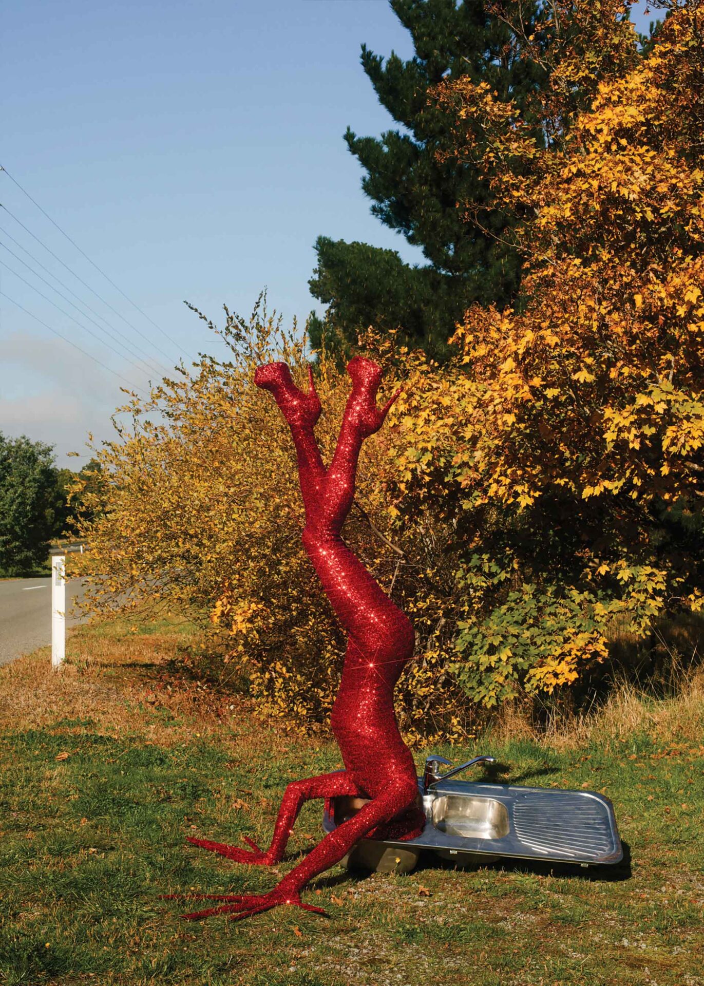 Same Same But Different Collaboration with Max Siedentopf April, 2020 by  Jo Duck