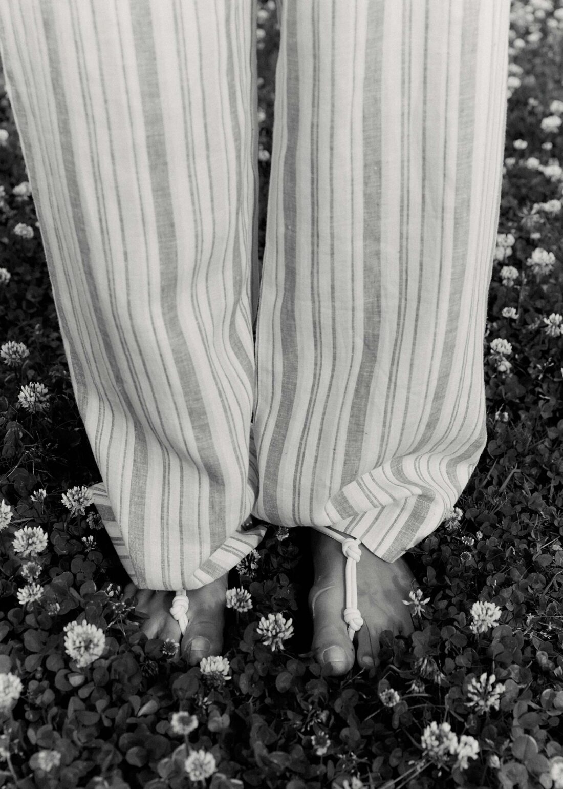 David Lawrence High Summer 22 November, 2022 by Rahel Weiss 