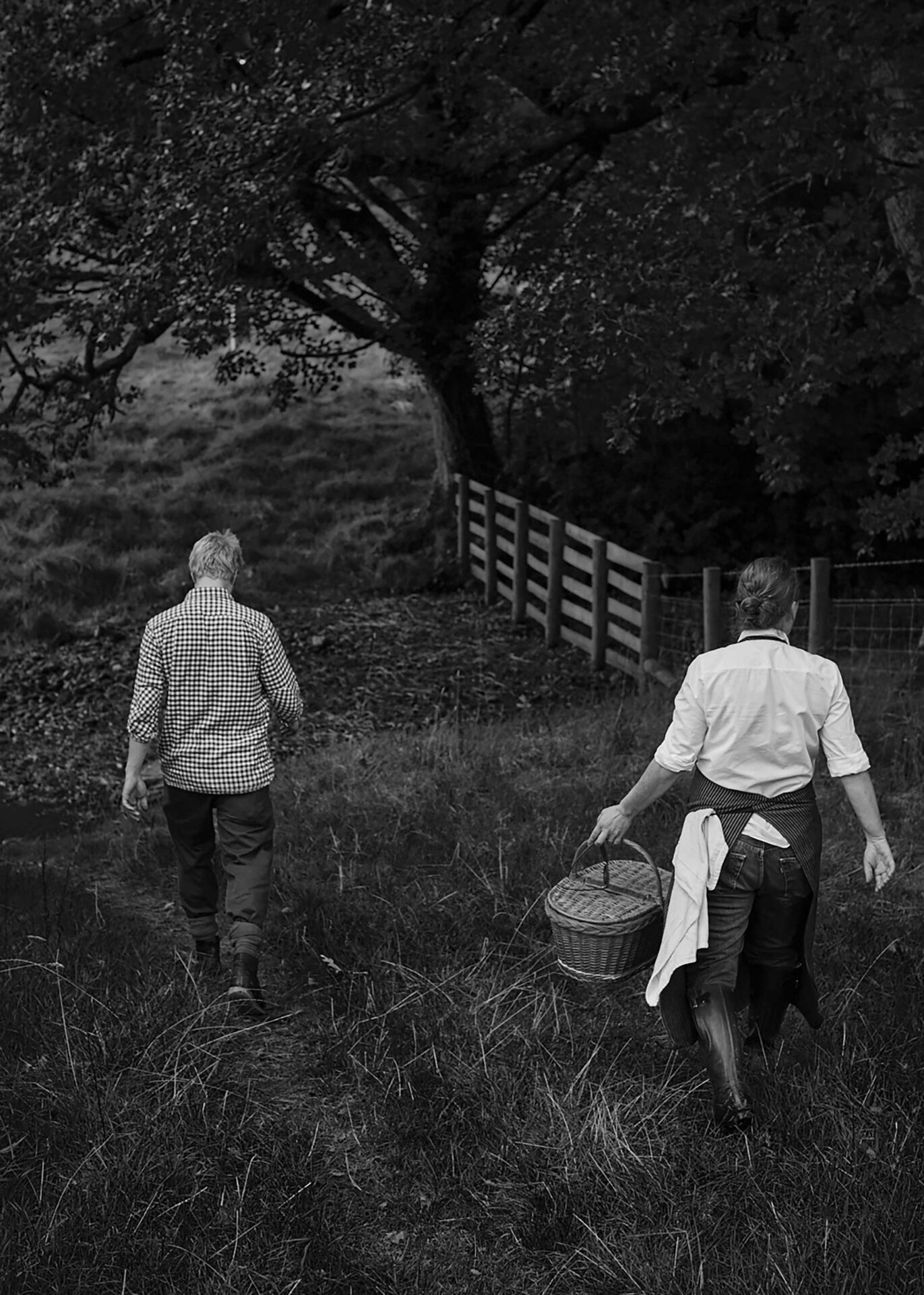 Wall Street Journal April Bloomfield October, 2016 by  Rahel Weiss