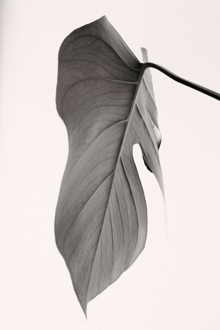 Photographer: Rahel Weiss - Landscapes, Personal work, Ongoing