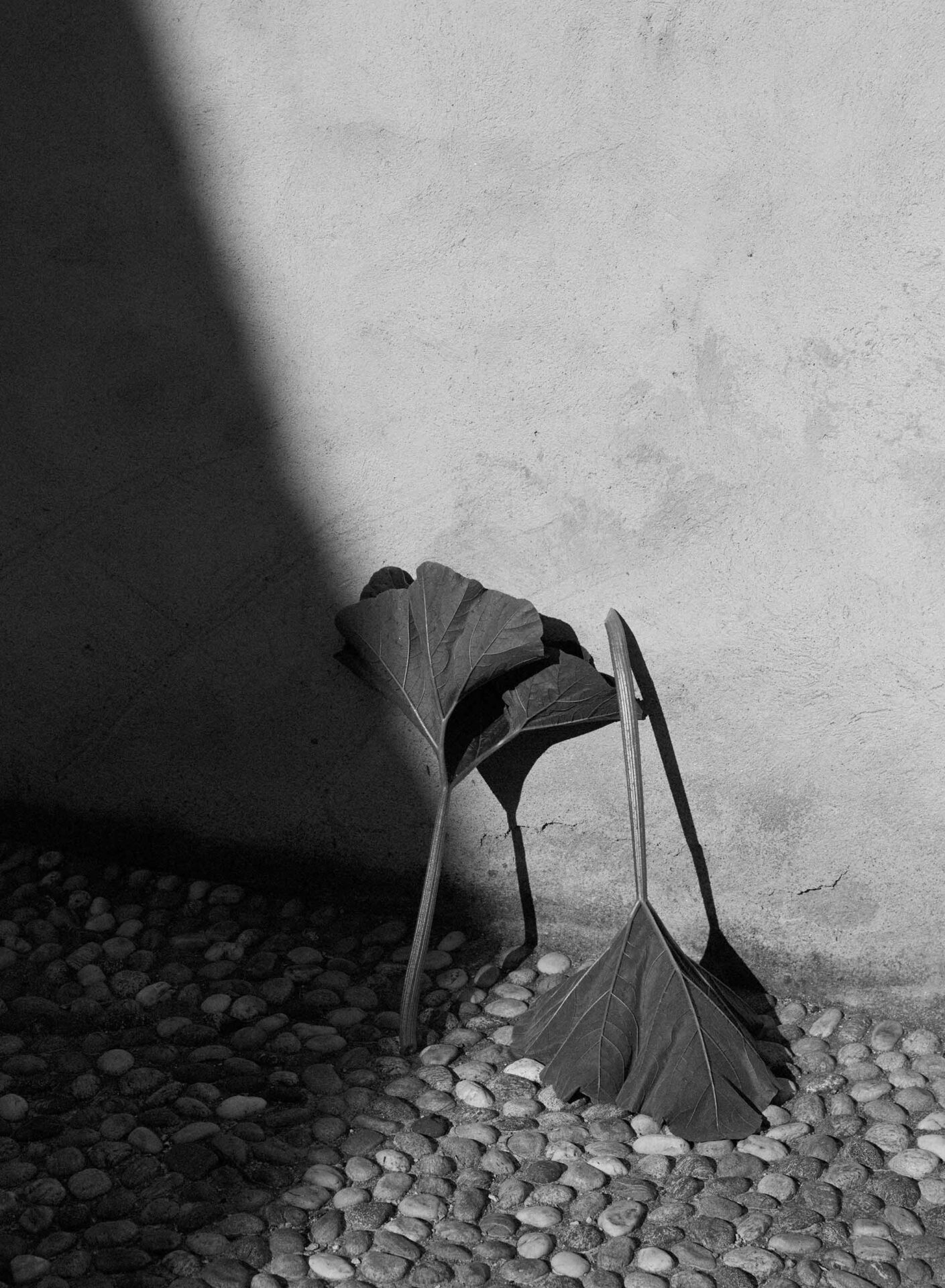 Russh Magazine Valle Maggia October, 2017 by  Rahel Weiss