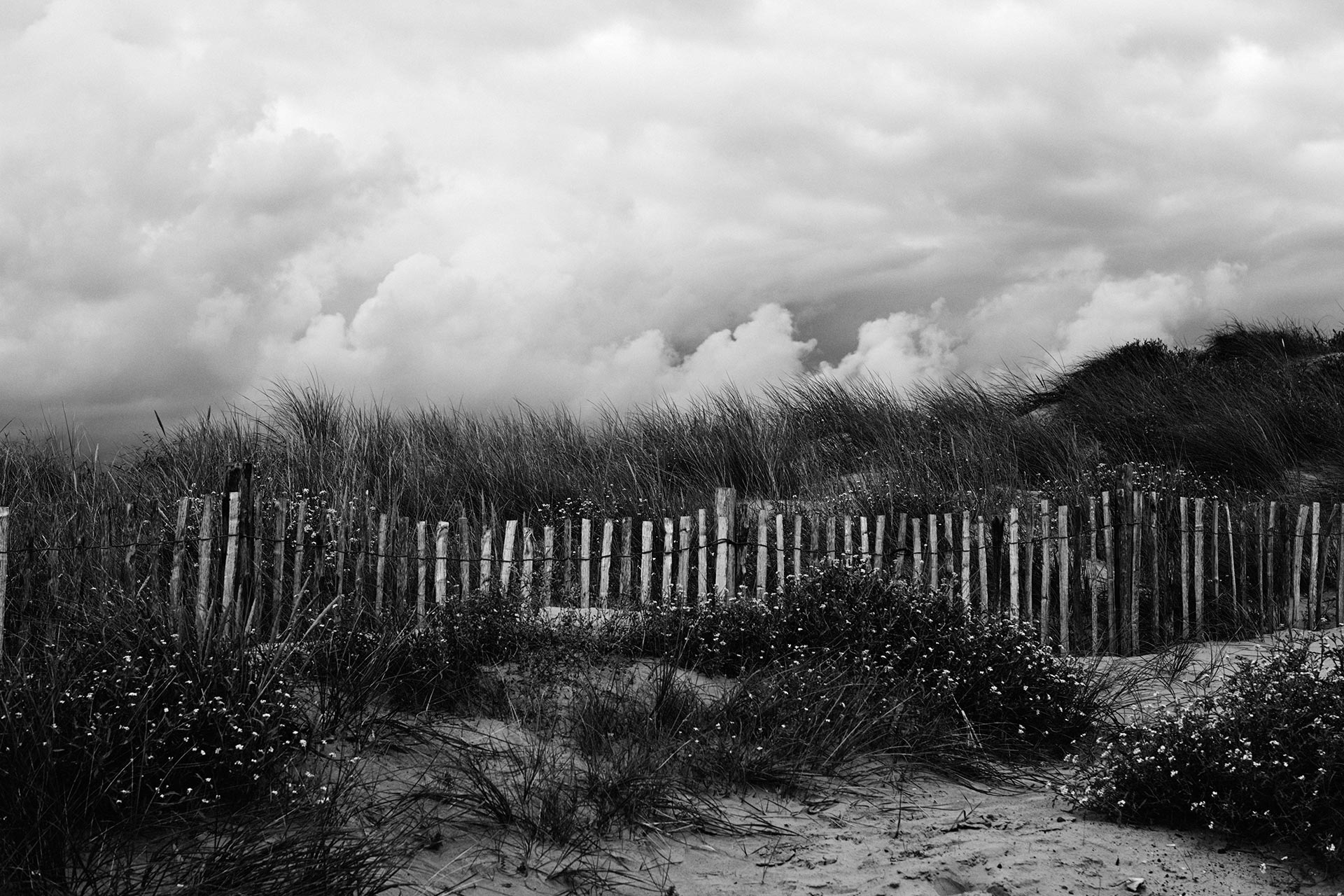 Photographer: Rahel Weiss - Landscapes, Personal work, Ongoing