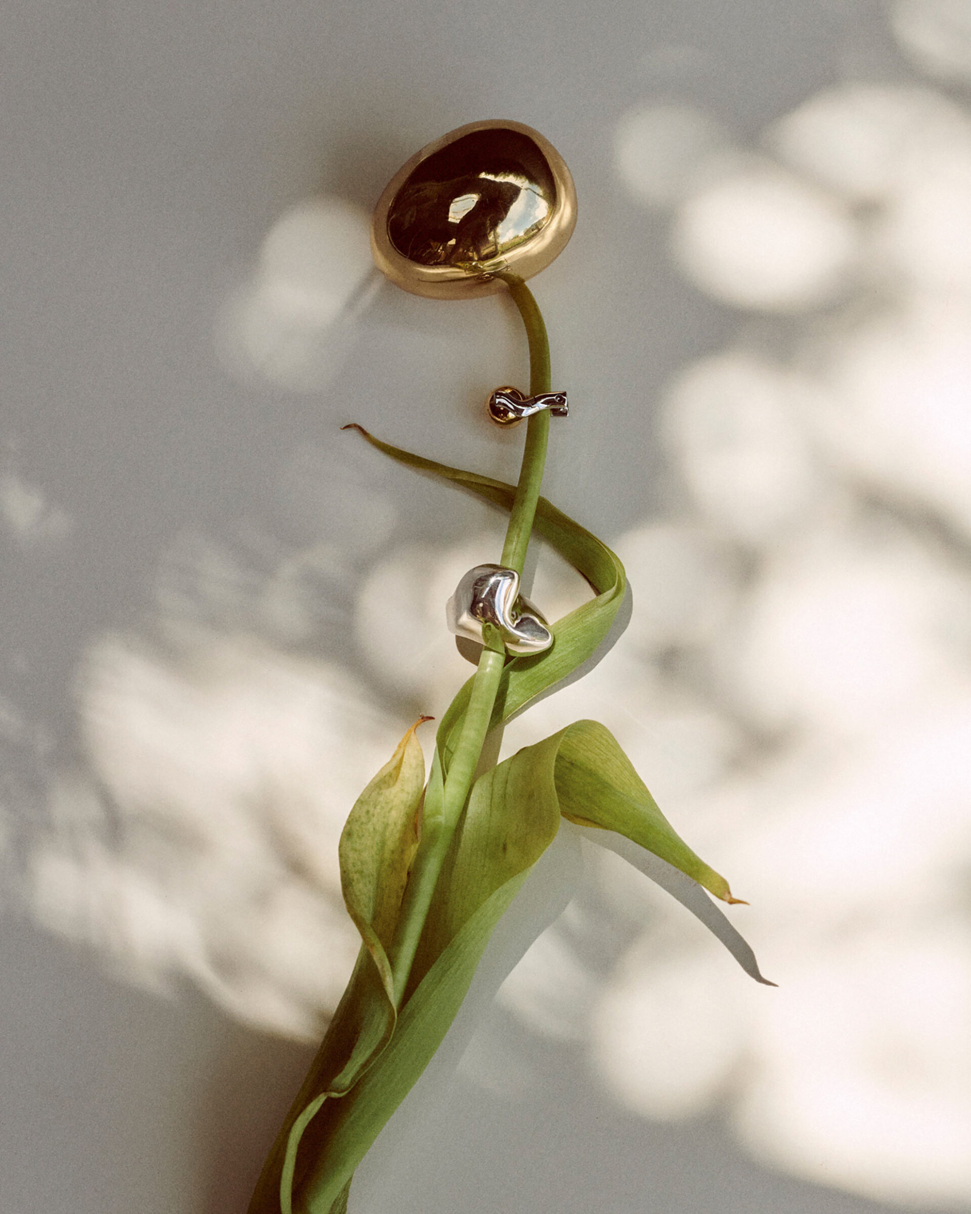 Fourth St Summer 22 December, 2021 by  Victoria Zschommler Natalie Turnbull