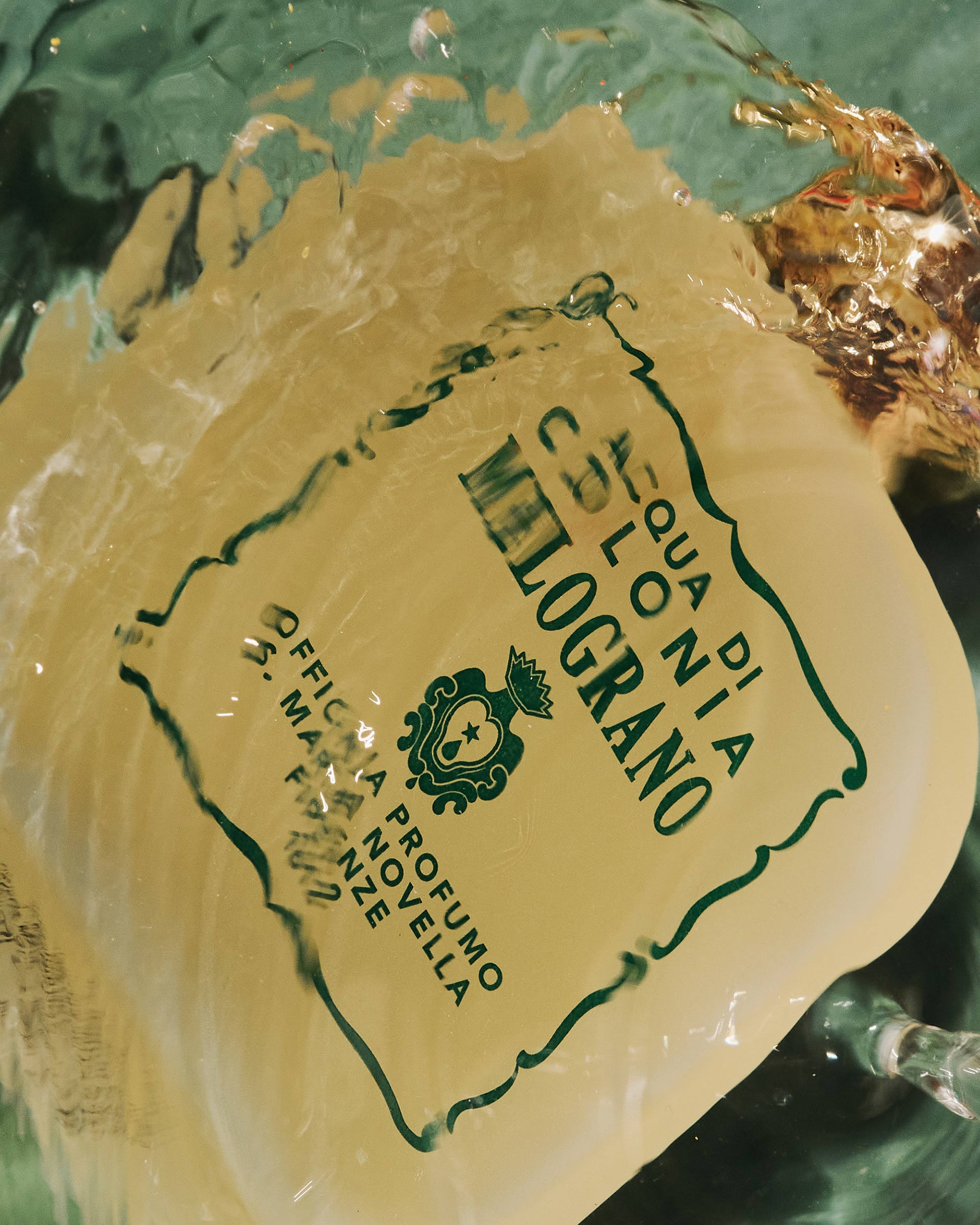 Side-Note Fragrance January, 2022 by  Natalie Turnbull