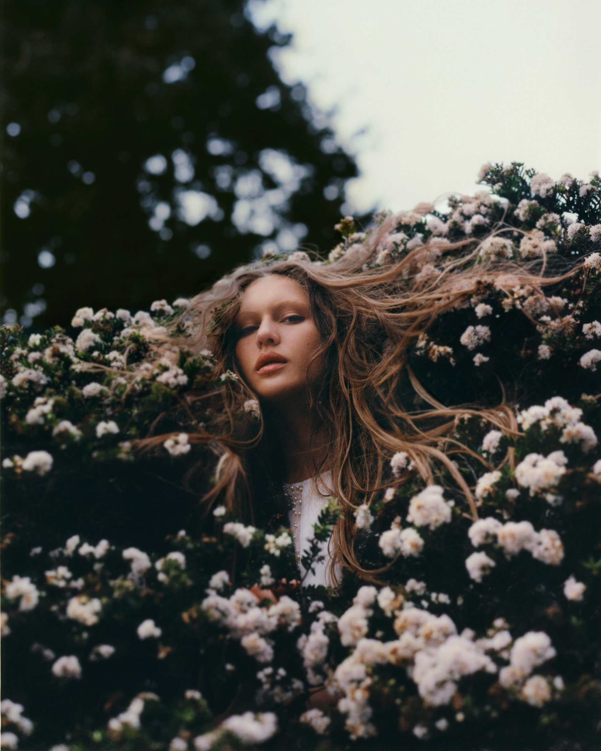 Harper's Bazaar Australia Down The Garden Path September, 2022 by  Hannah Scott-Stevenson
