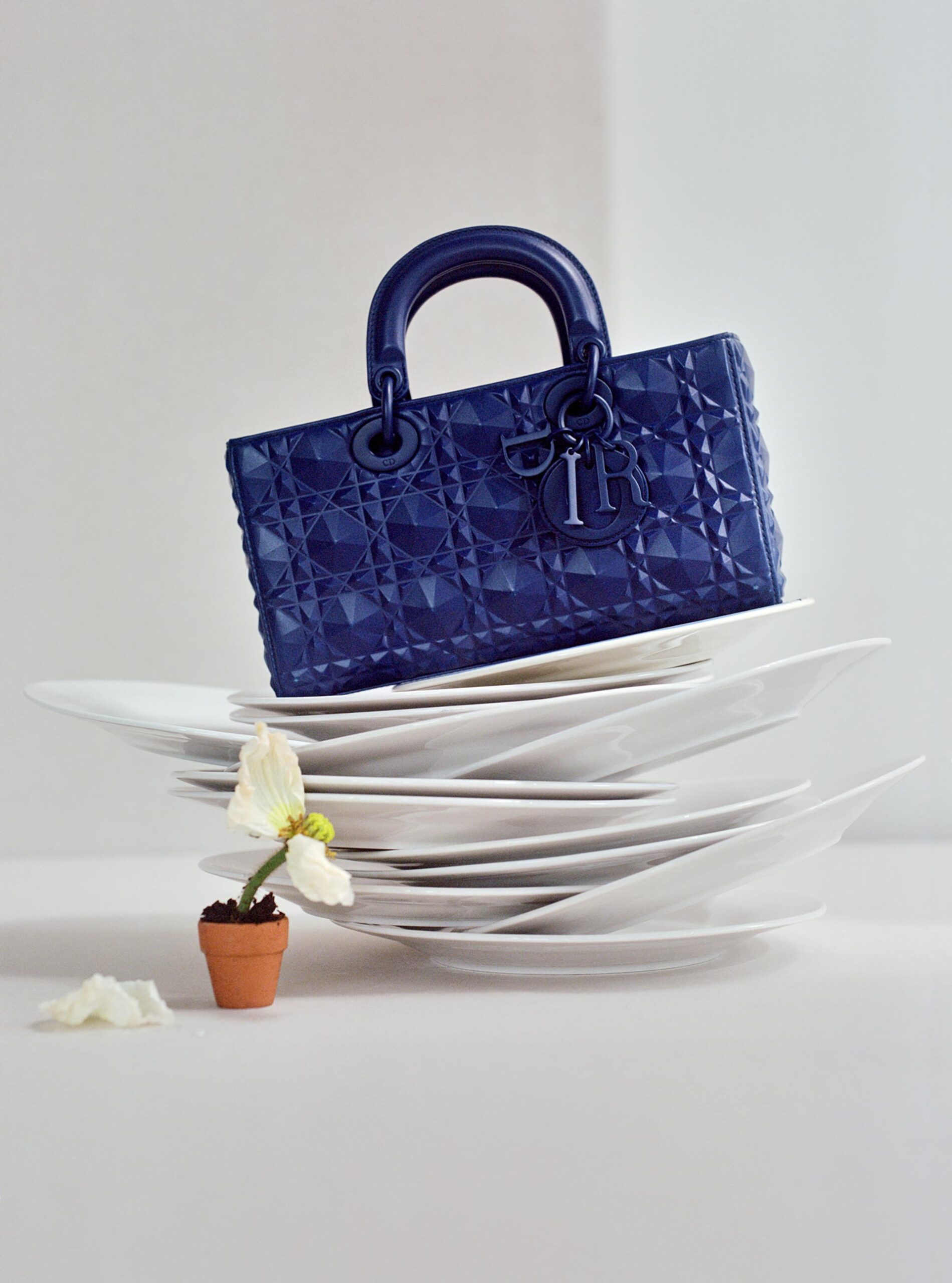 Harper's Bazaar Dior November, 2022 by  Victoria Zschommler