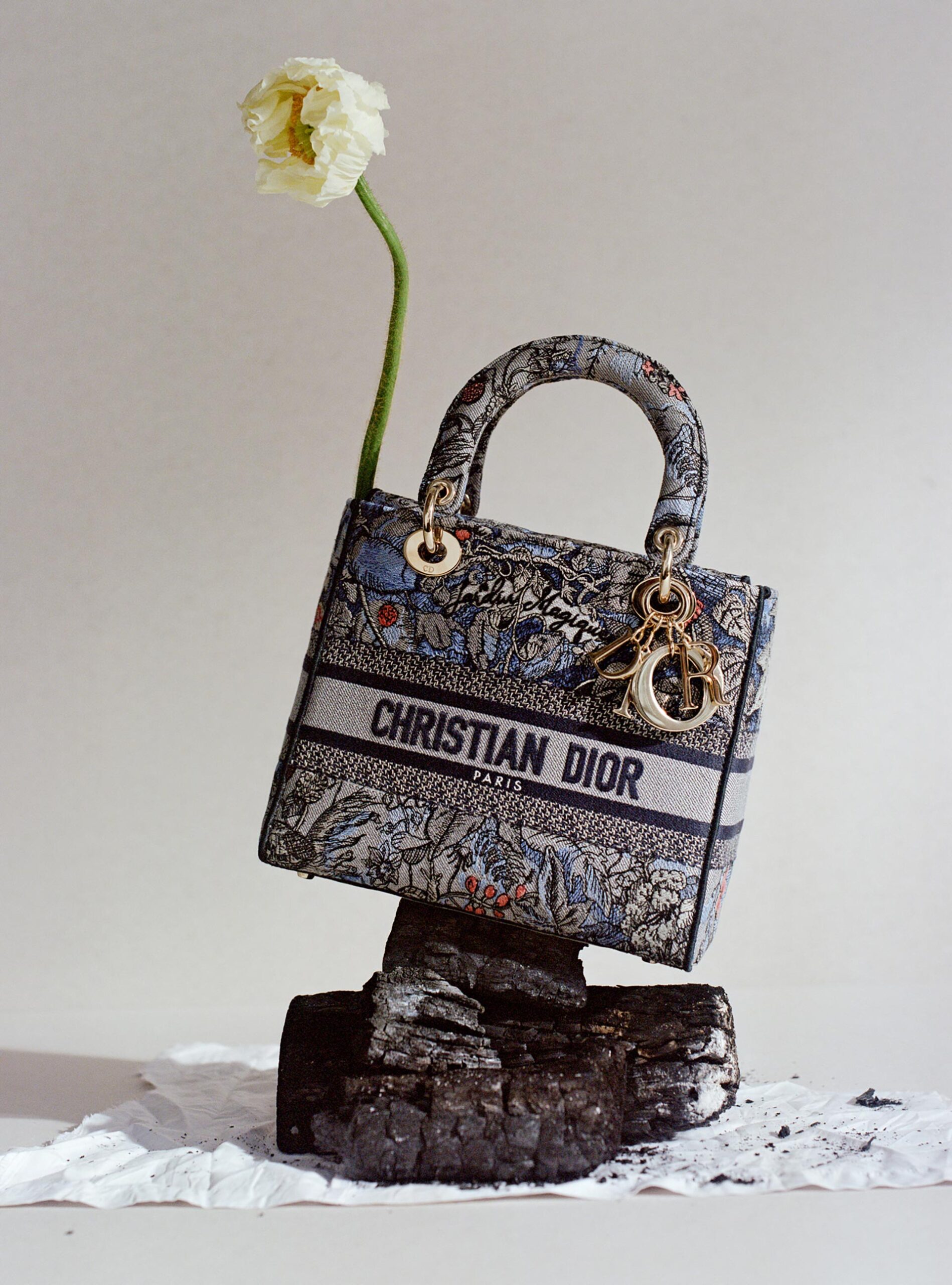 Harper's Bazaar Dior November, 2022 by  Victoria Zschommler