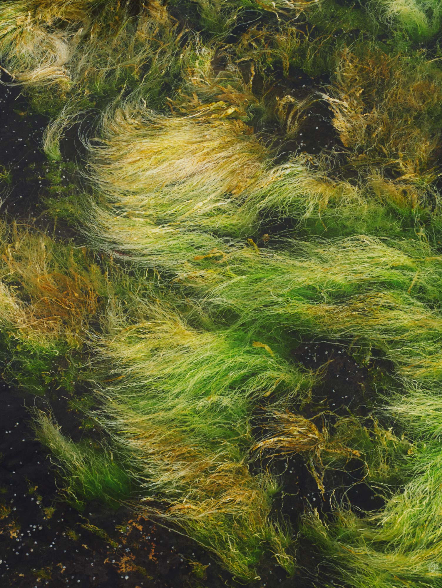 La Mer Sea of Possibilities November, 2022 by  Victoria Zschommler