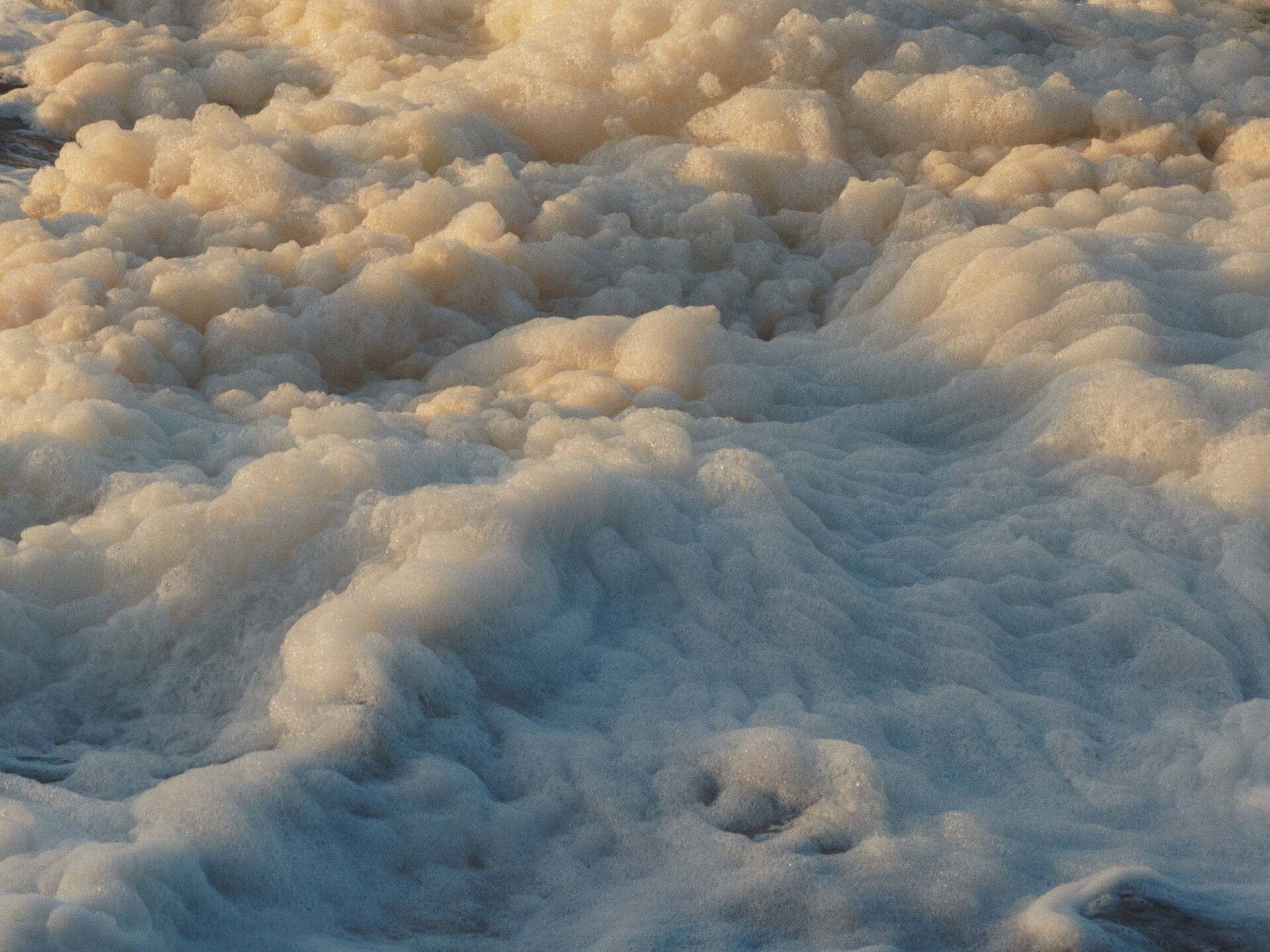 La Mer Sea of Possibilities November, 2022 by  Victoria Zschommler