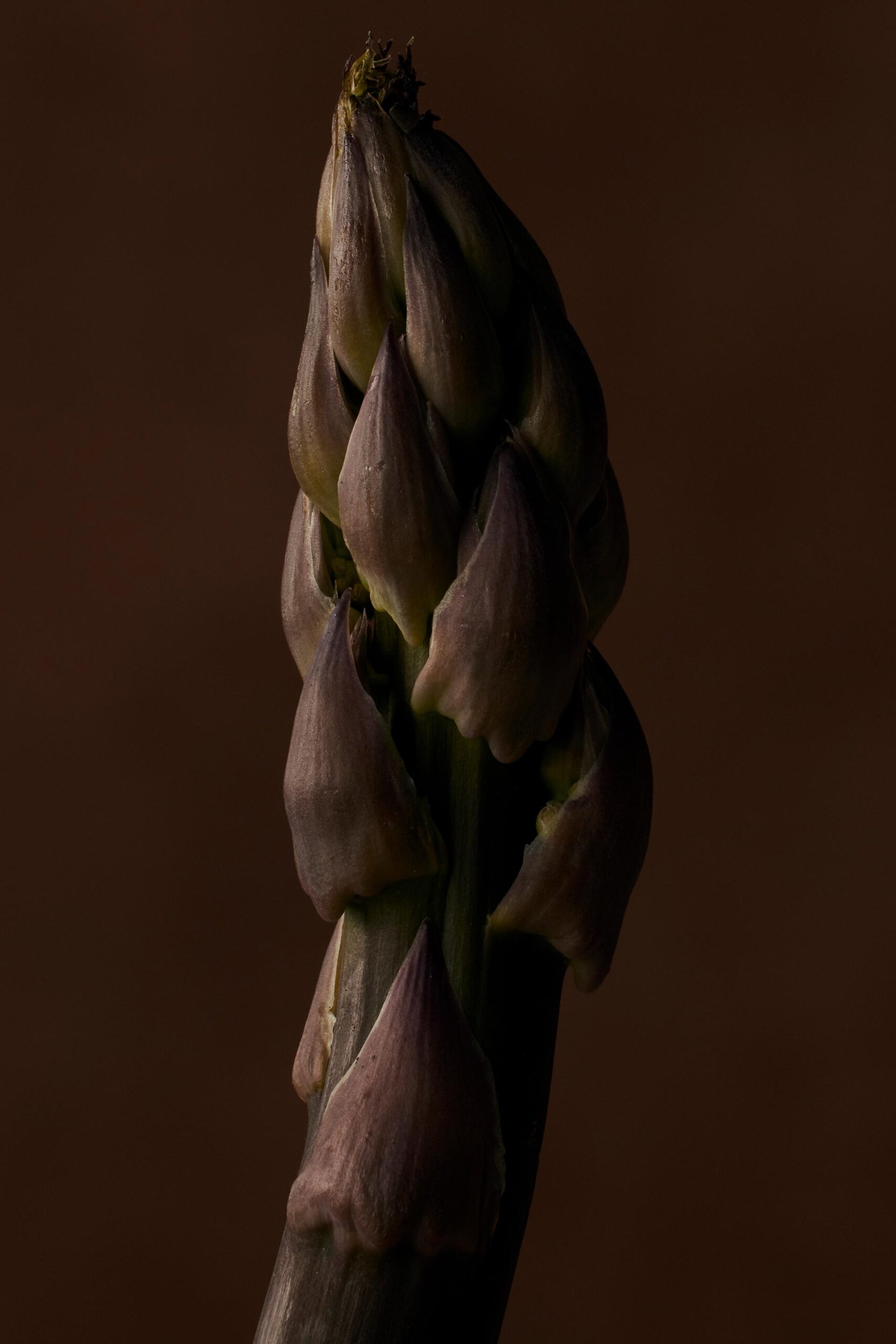 VNTNR Detail March, 2023 by  Natalie Turnbull