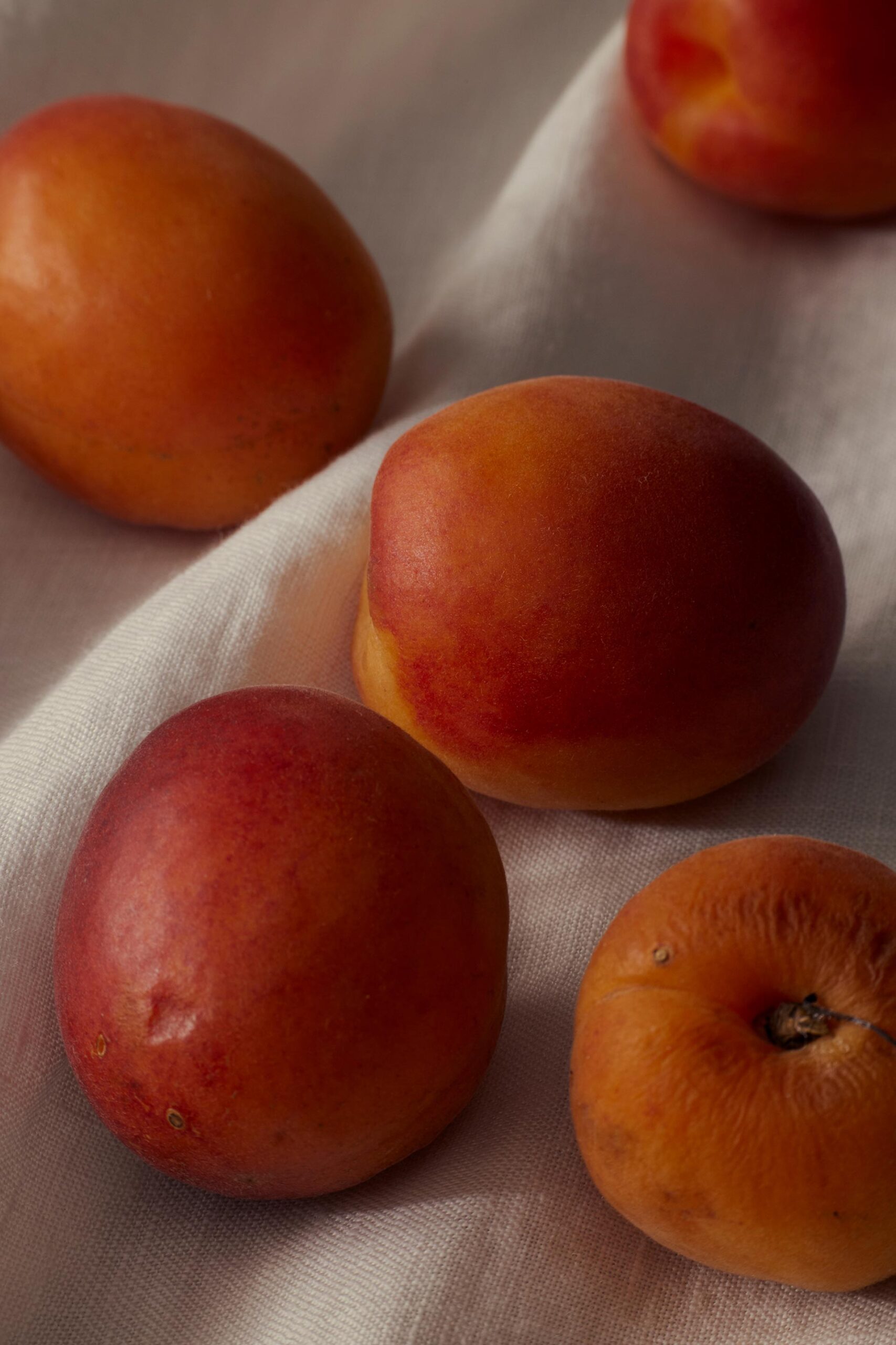 VNTNR Detail March, 2023 by  Natalie Turnbull