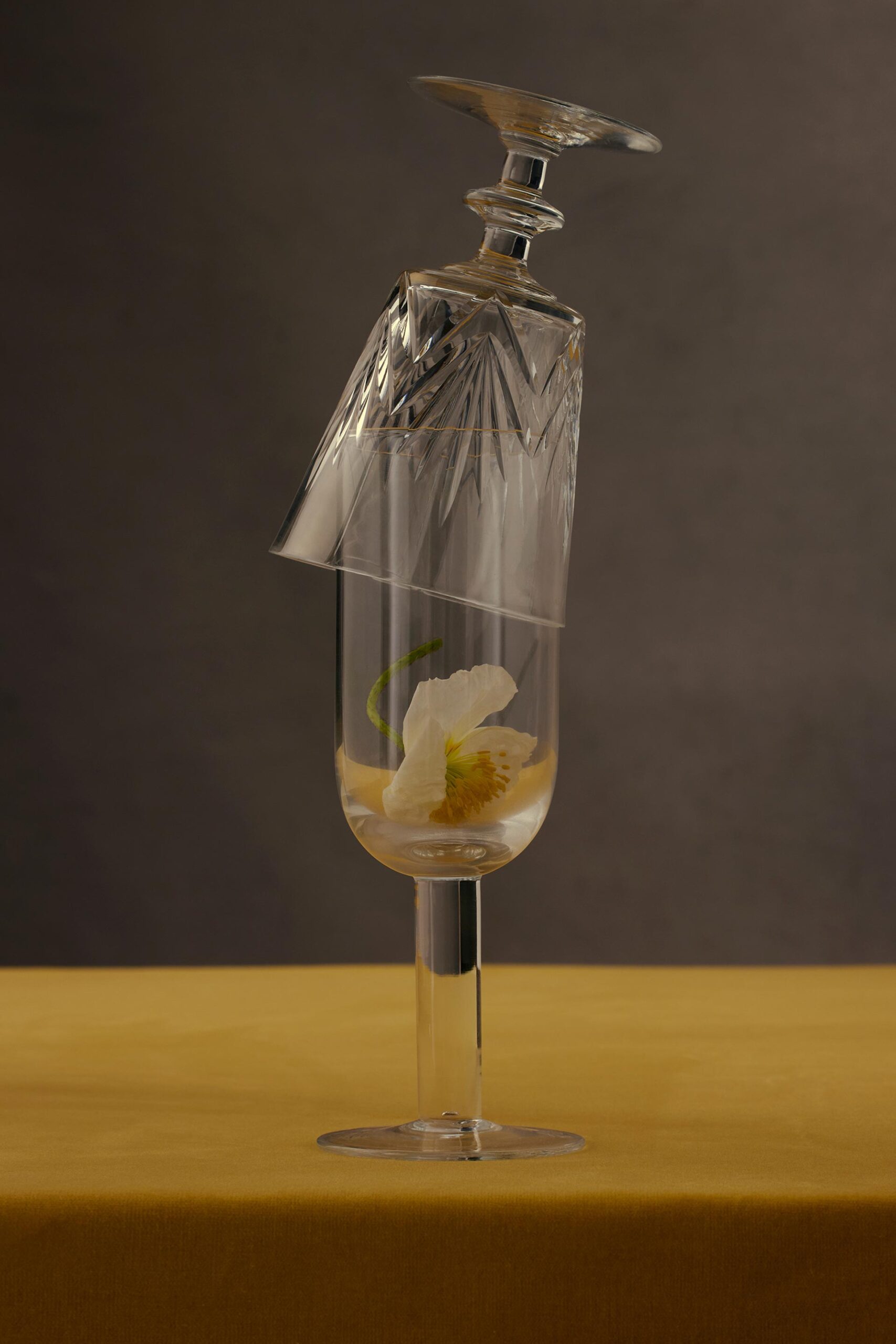 VNTNR Detail March, 2023 by  Natalie Turnbull