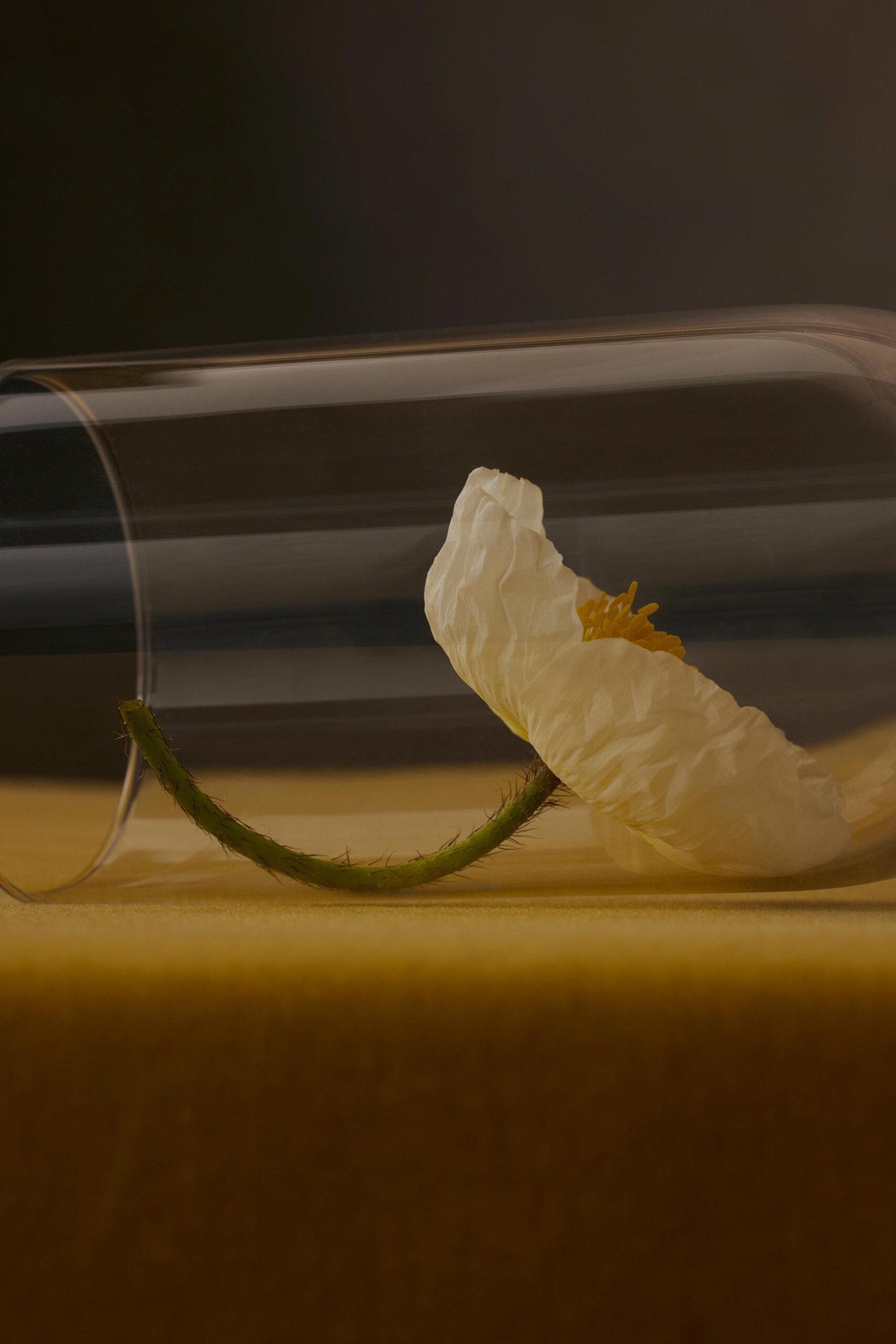 VNTNR Detail March, 2023 by  Natalie Turnbull