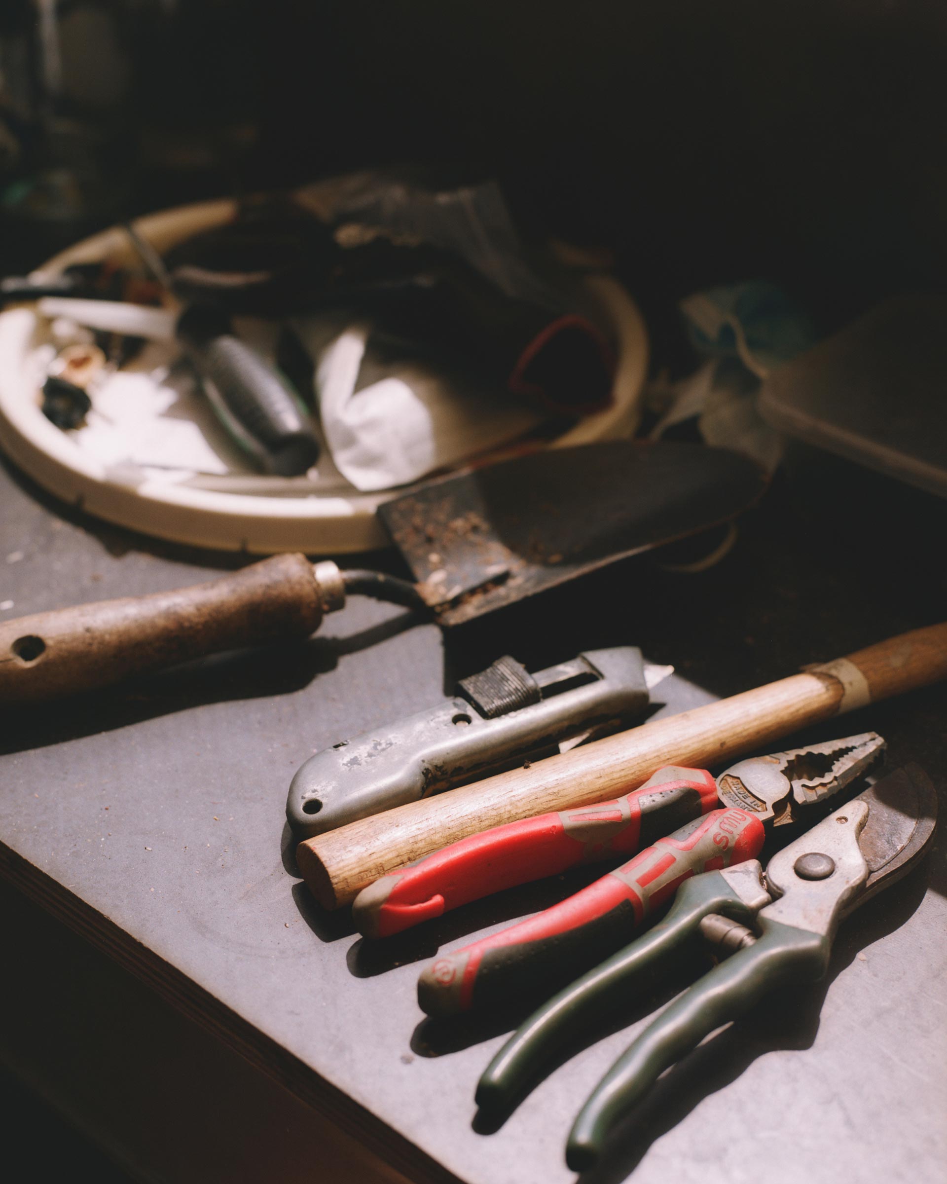 Flore Directory The Worm Dealer August, 2020 by  Drew Wheeler