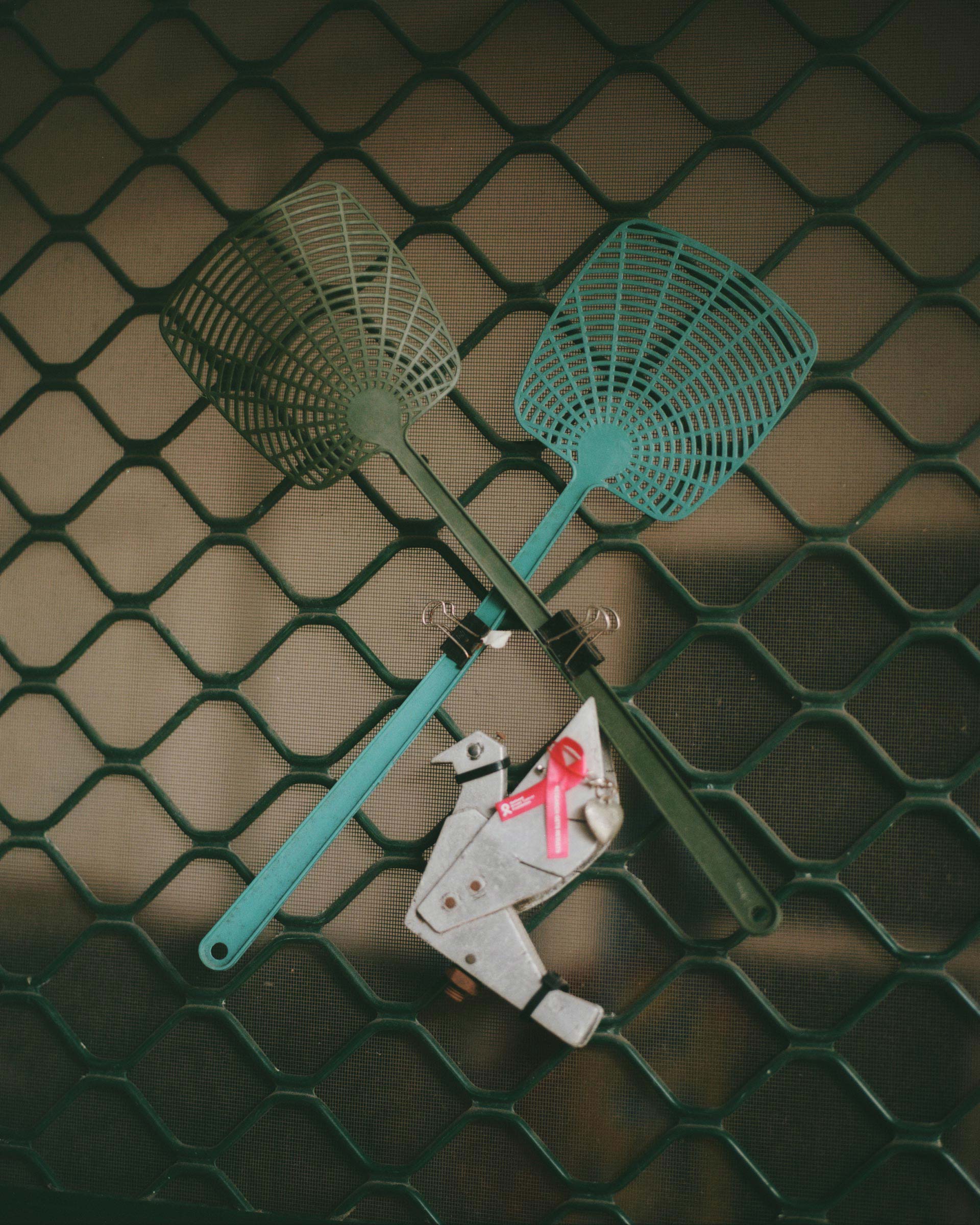 Flore Directory The Worm Dealer August, 2020 by  Drew Wheeler