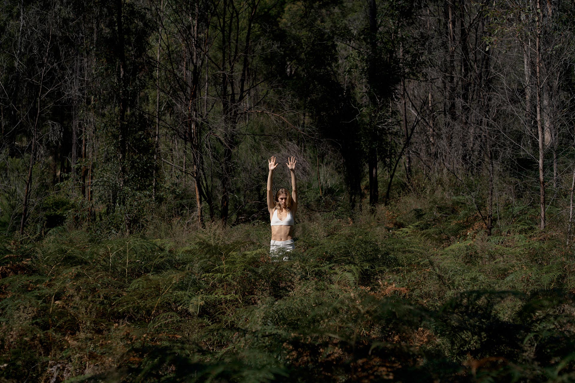 Softies Basics April, 2021 by  Drew Wheeler