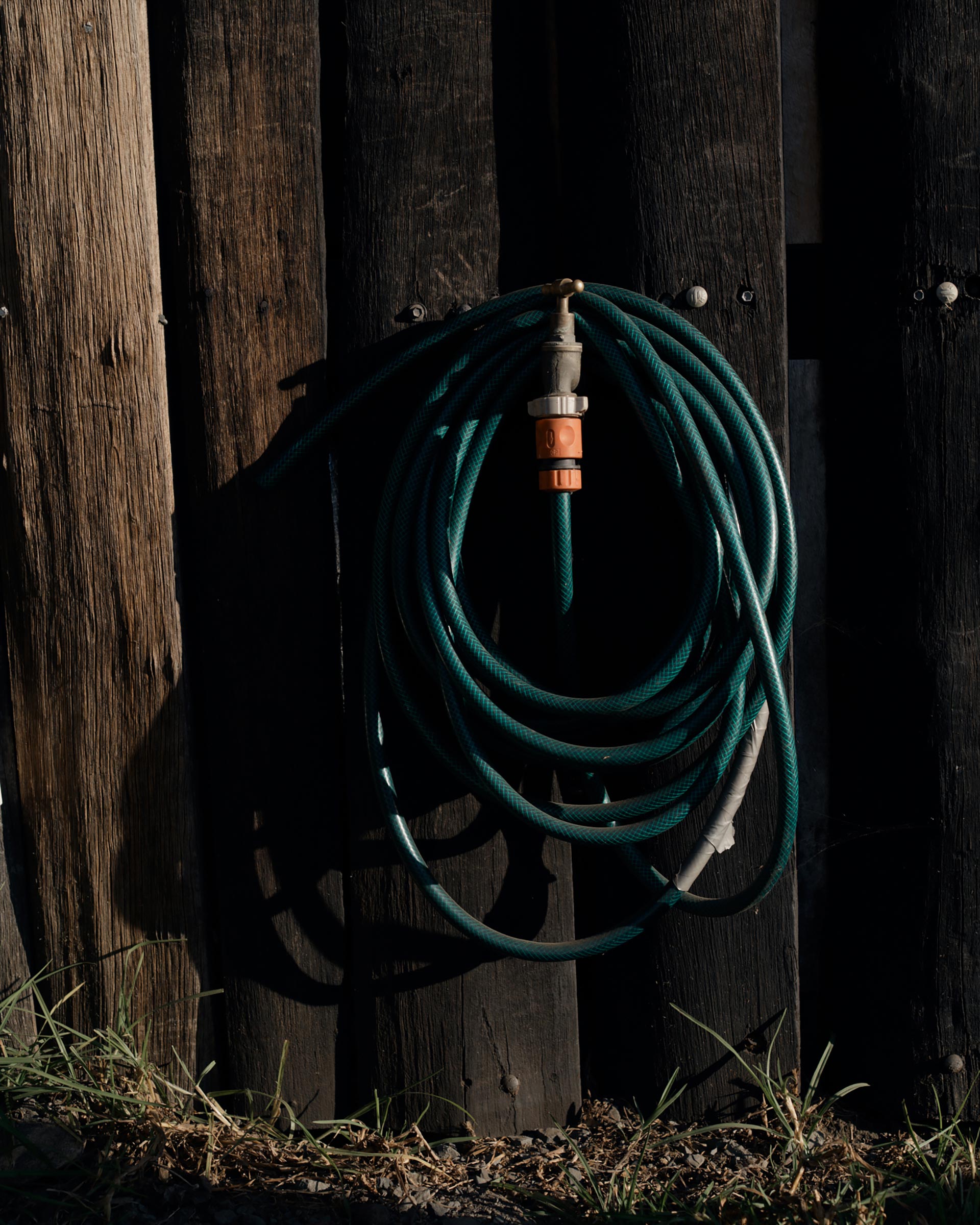 Softies Basics April, 2021 by  Drew Wheeler