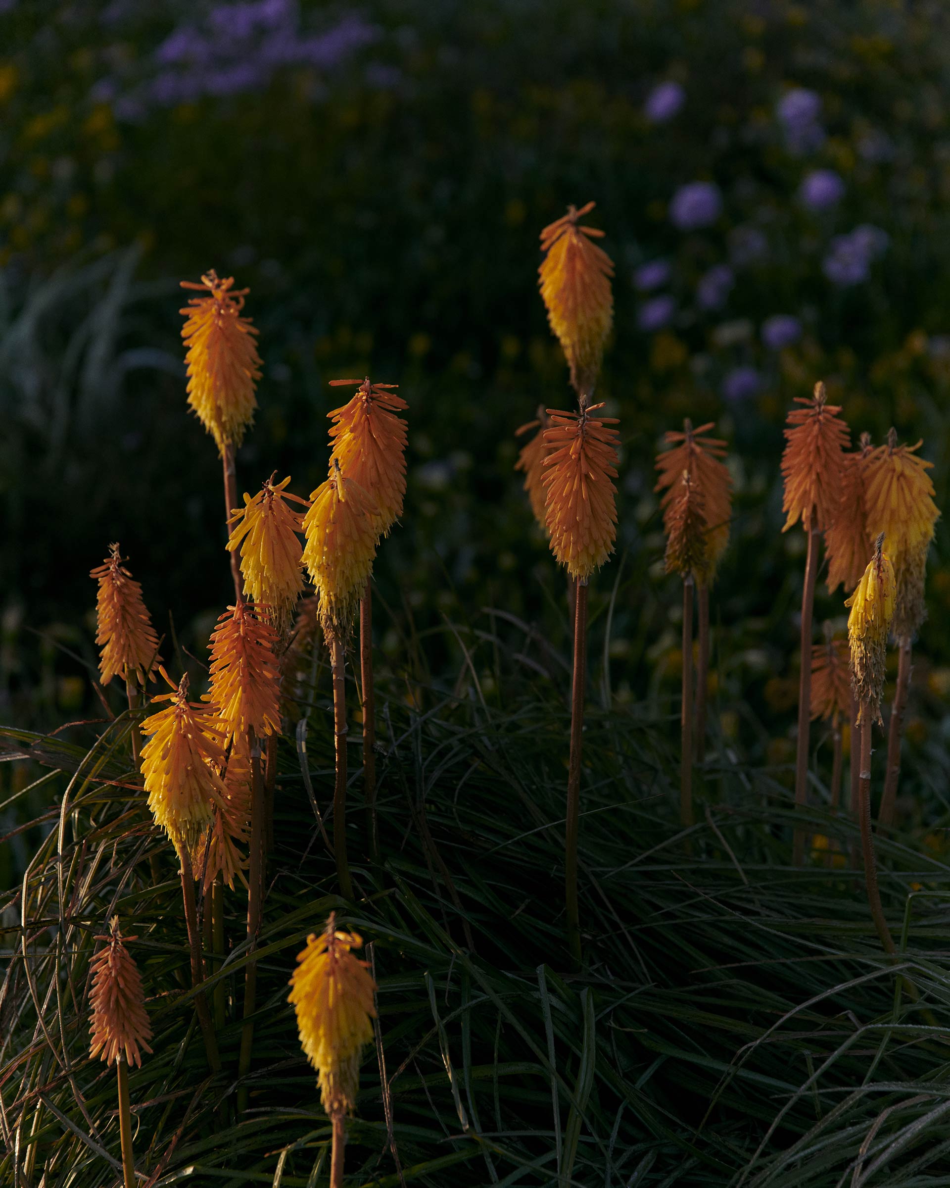 Pernod Ricard Church Road Winery March, 2023 by  Victoria Zschommler