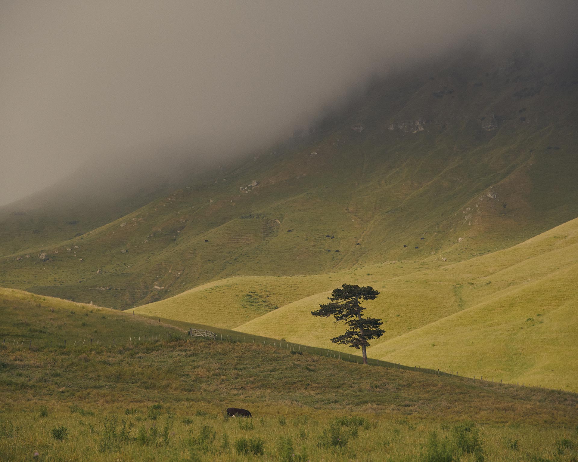 Pernod Ricard Church Road Winery March, 2023 by  Victoria Zschommler