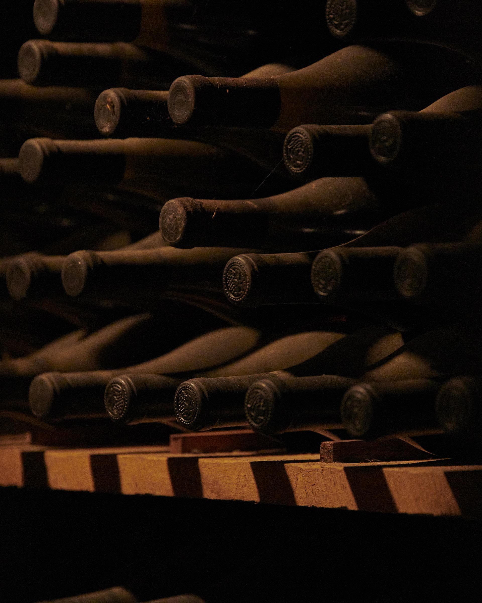 Pernod Ricard Church Road Winery March, 2023 by  Victoria Zschommler