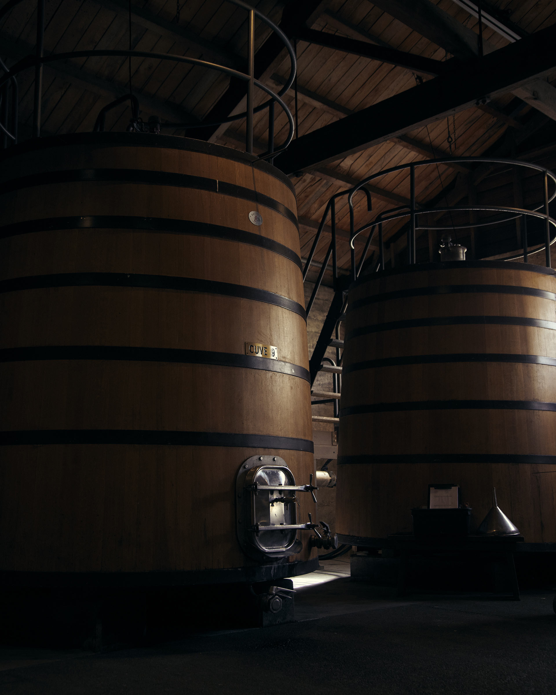 Pernod Ricard Church Road Winery March, 2023 by  Victoria Zschommler