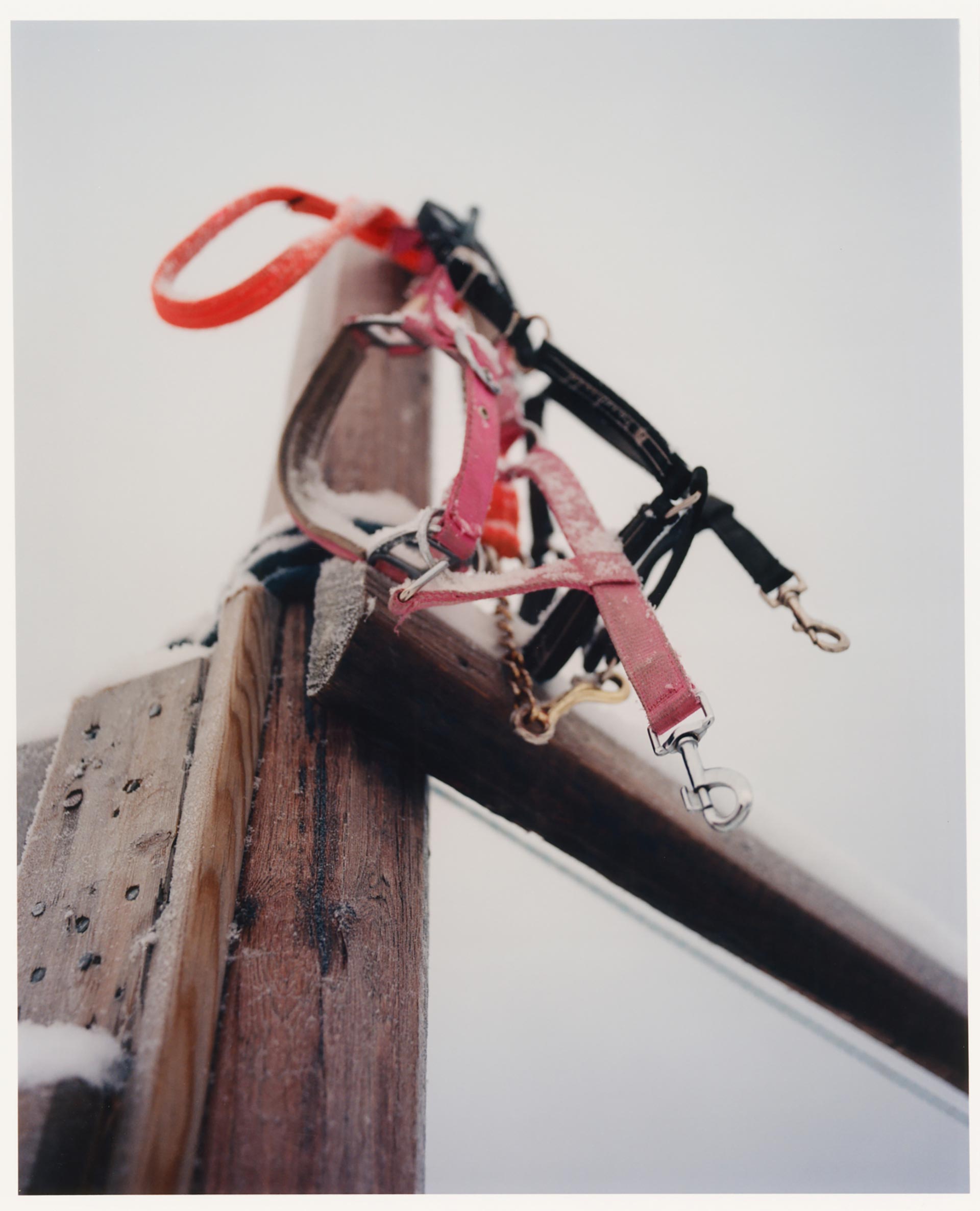 Personal work Ӧstersund Racecourse Ongoing  by  Drew Wheeler