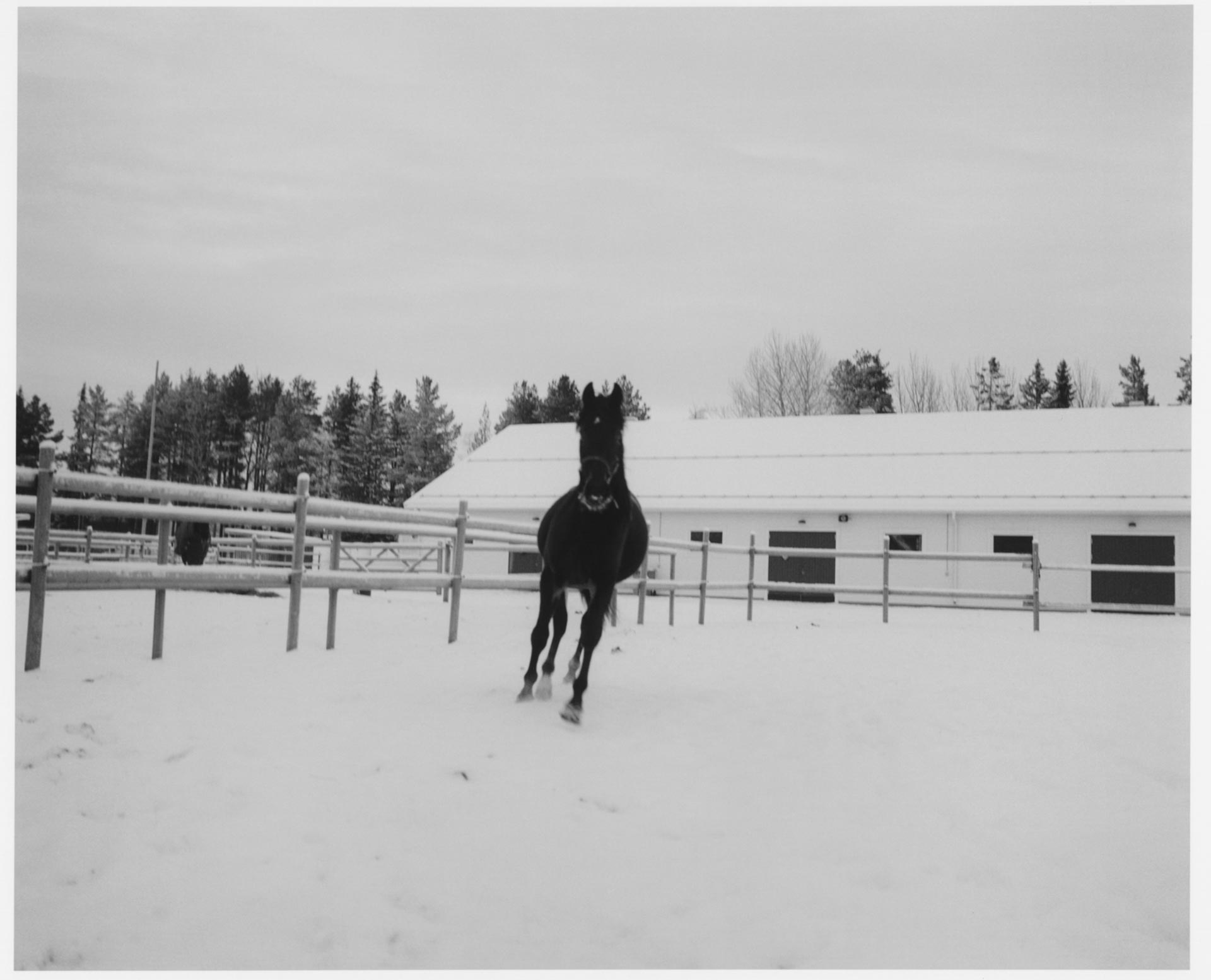 Personal work Ӧstersund Racecourse Ongoing  by  Drew Wheeler