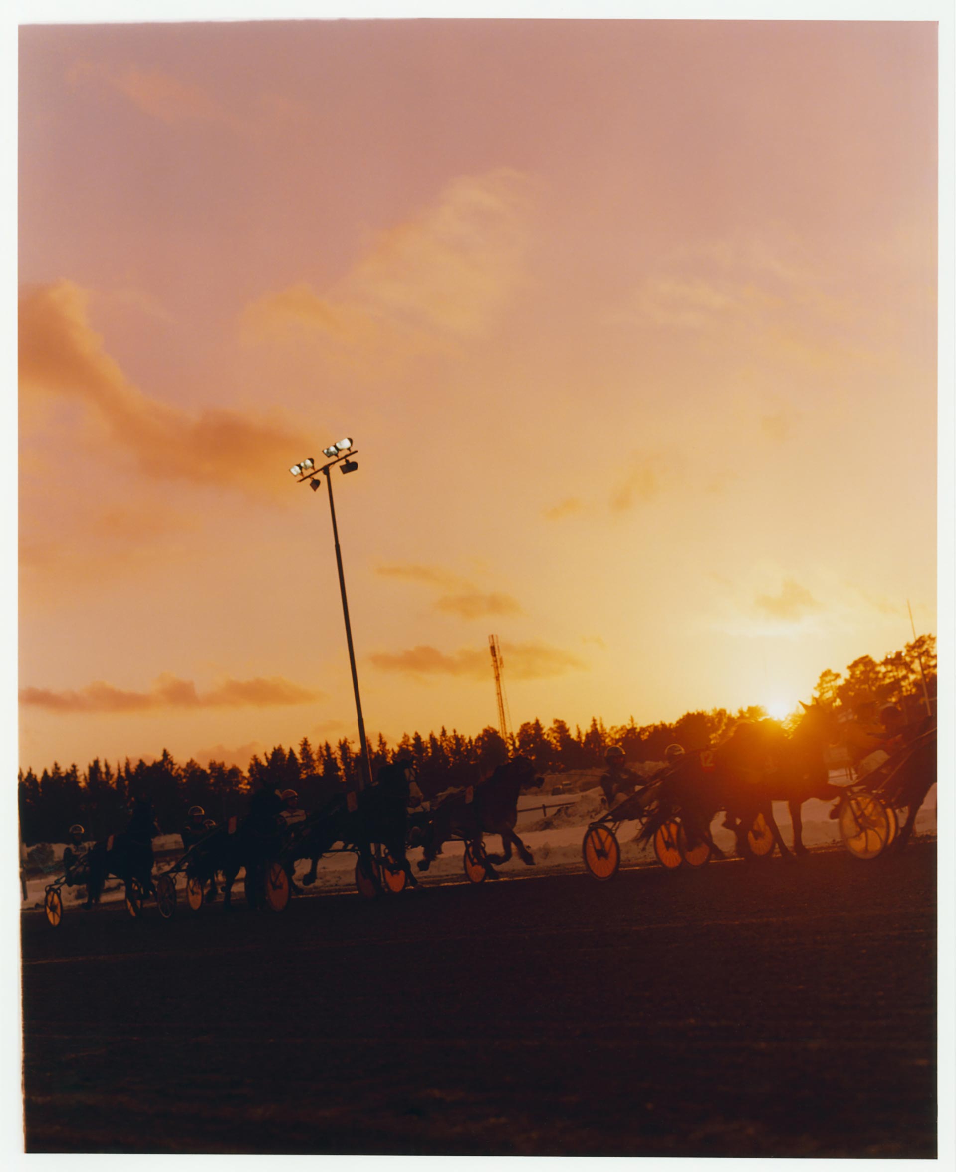 Personal work Ӧstersund Racecourse Ongoing  by  Drew Wheeler