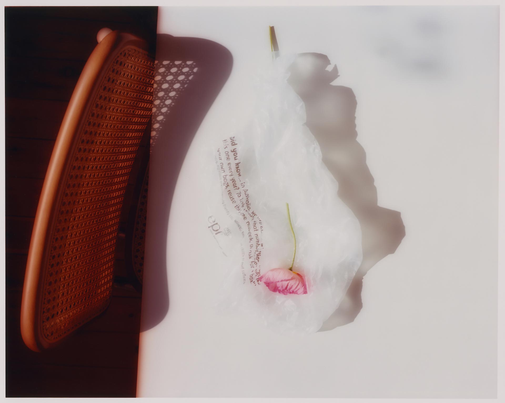 Personal Flowers March, 2021 by  Drew Wheeler