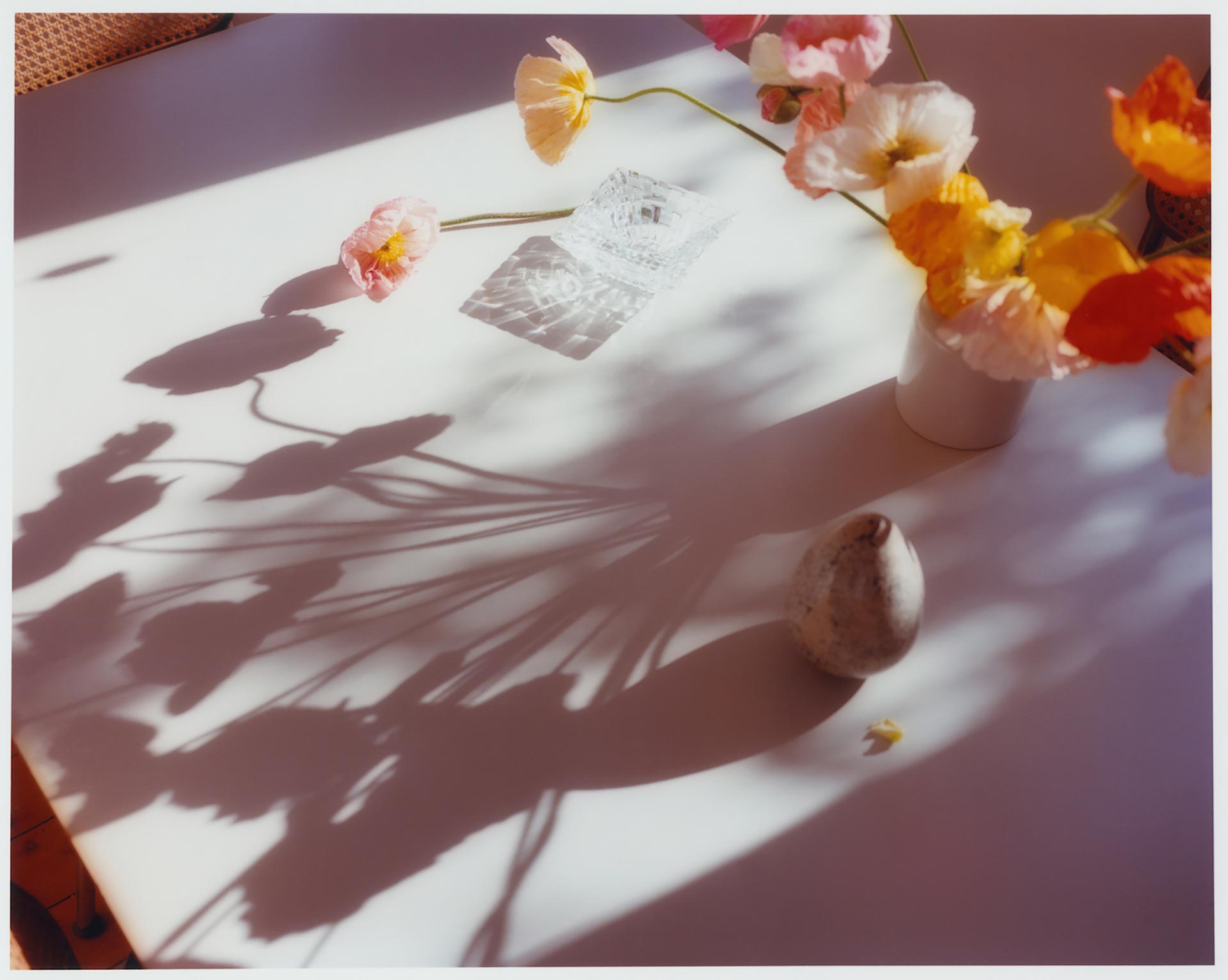 Personal Flowers March, 2021 by  Drew Wheeler