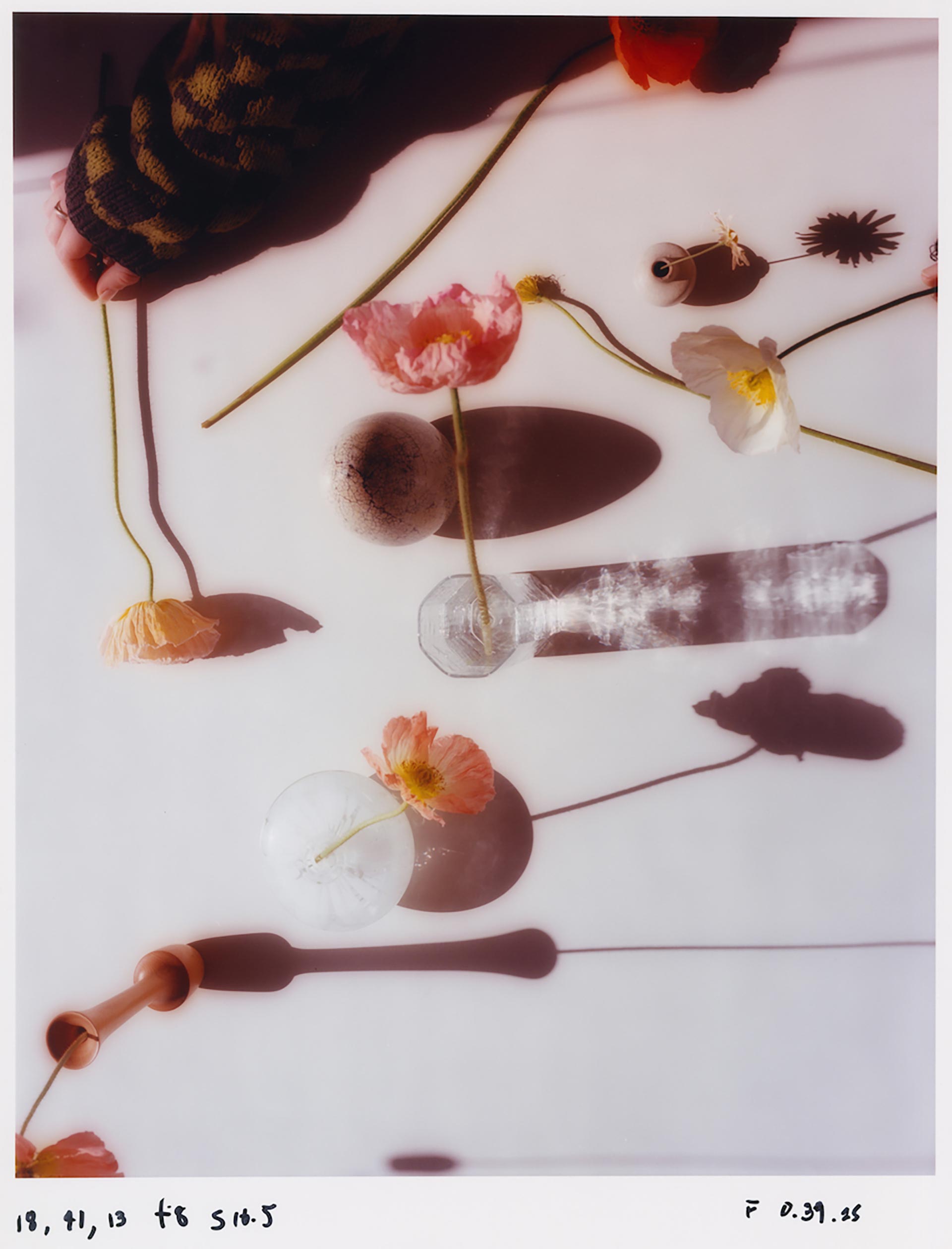 Personal Flowers March, 2021 by  Drew Wheeler