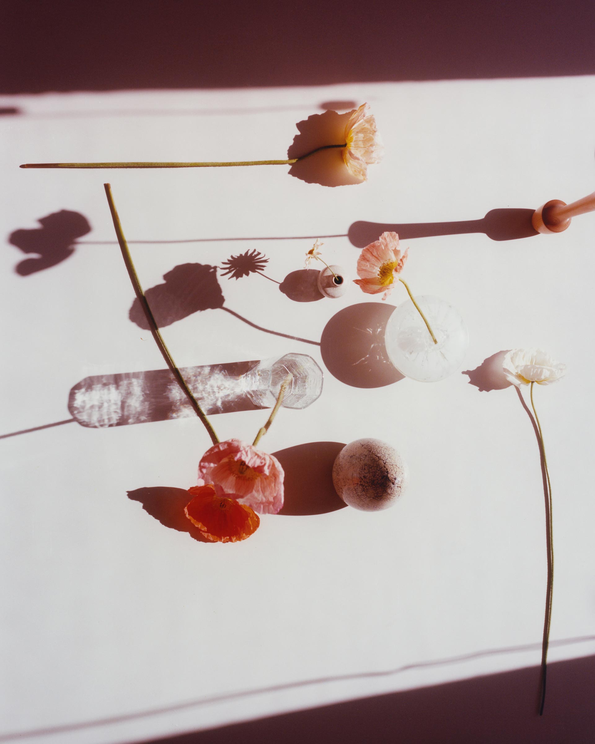 Personal Flowers March, 2021 by  Drew Wheeler